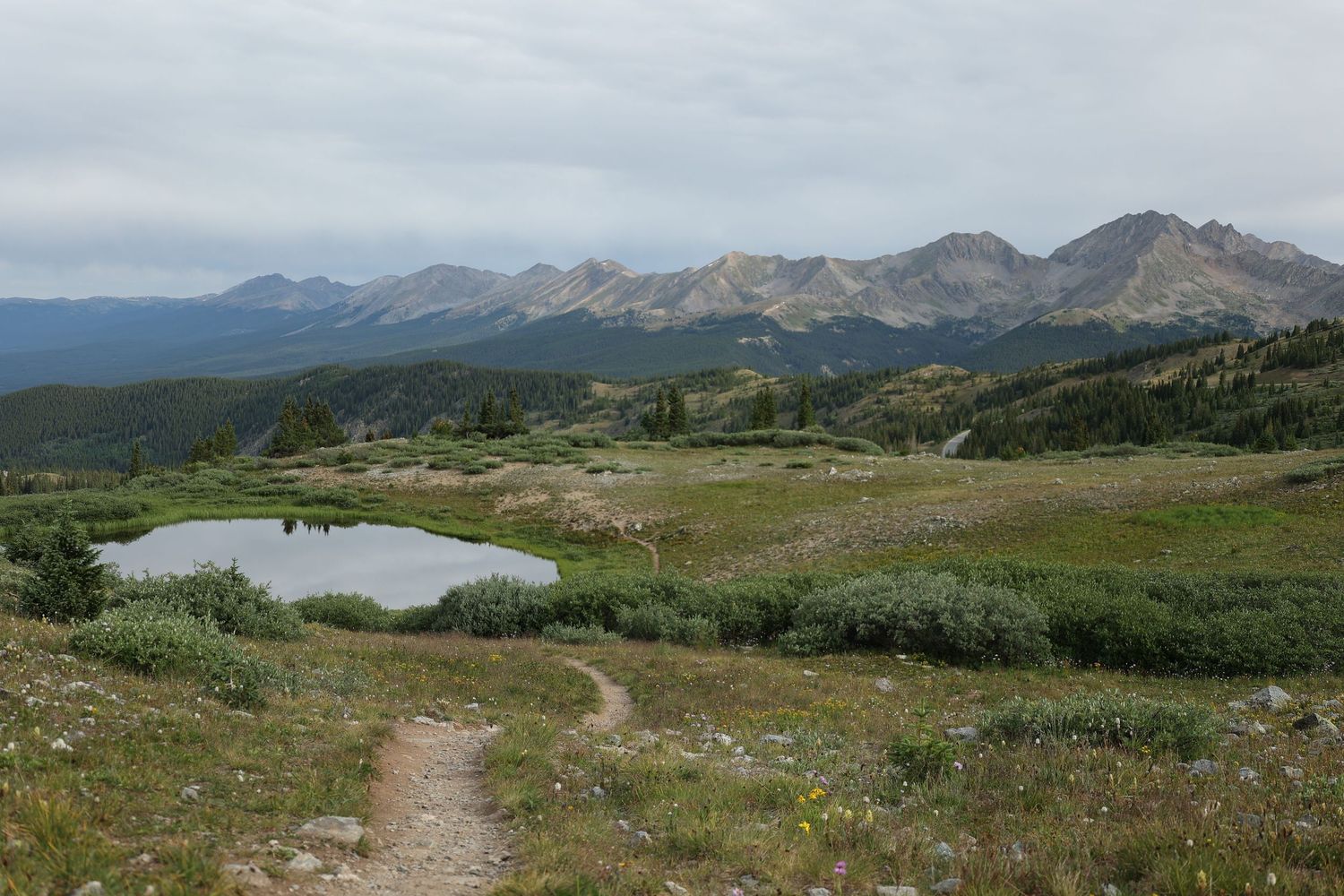 A panoramic mountain landscape view with rolling hills, alpine meadows, and snow-capped peaks in the distance. Cottonwood Pass.