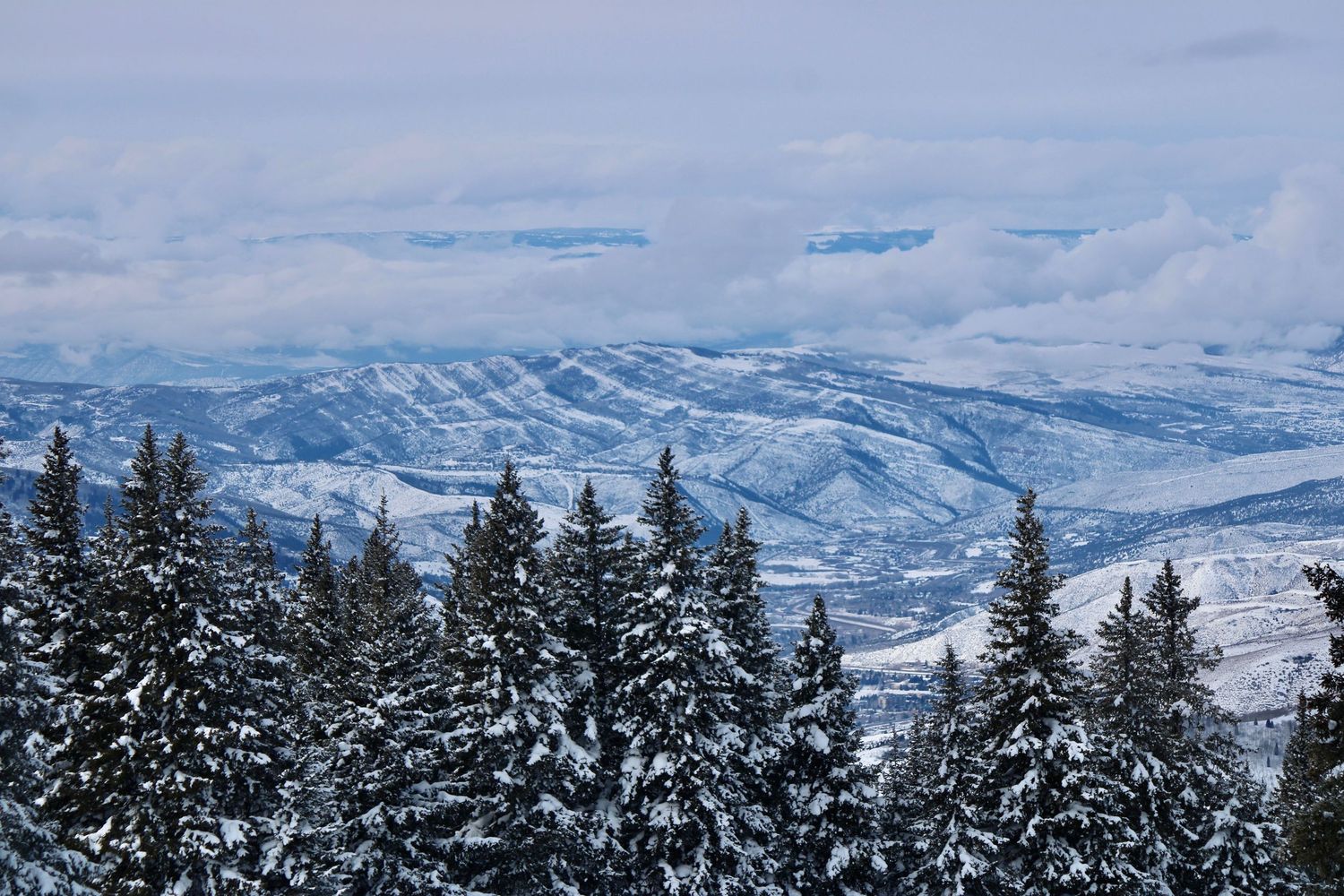 Snow-covered evergreen trees frame a panoramic mountain vista with rolling hills stretching into the distance. Vail Mountain.