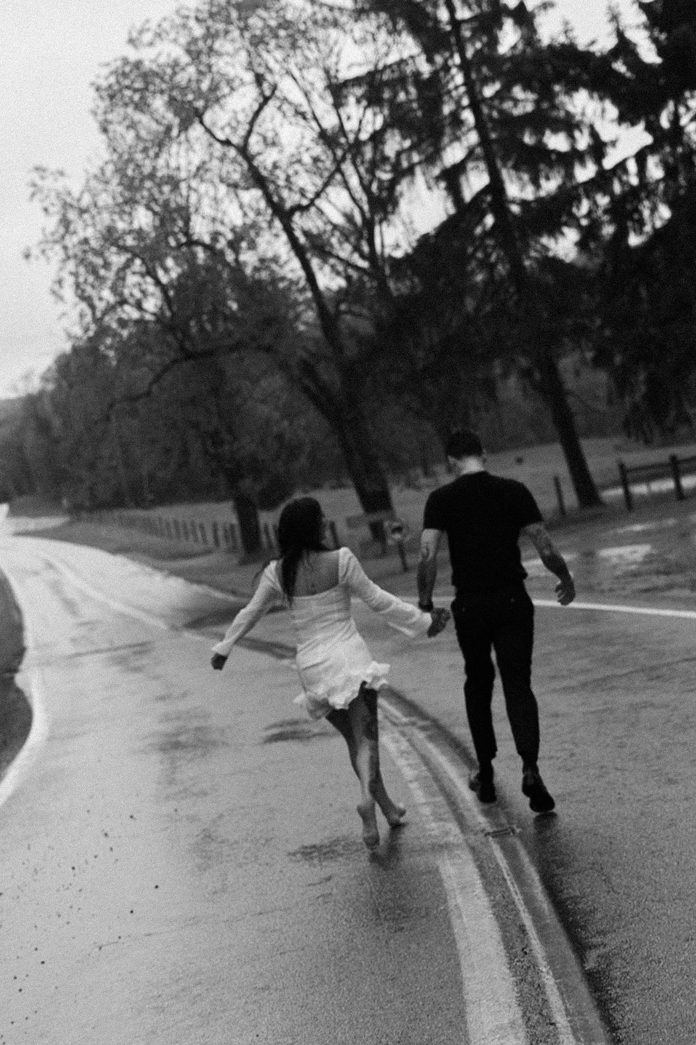 Artistic silhouettes of a couple walking along a tree-lined path in black and white.