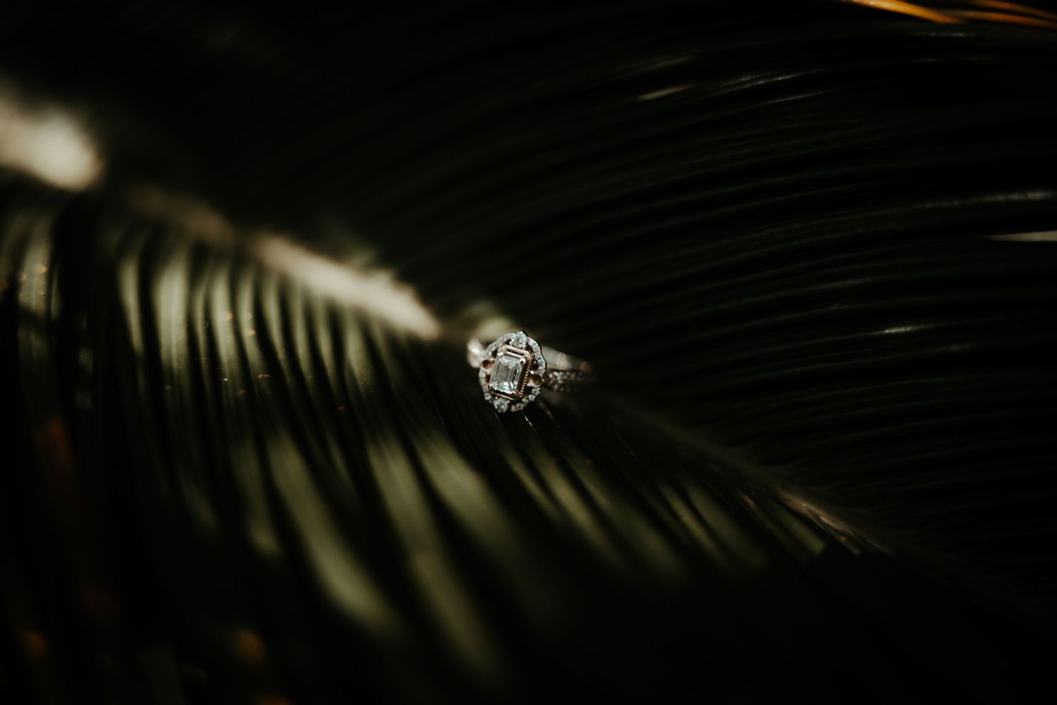 A sparkly diamond ring photographed with dramatic shadows.