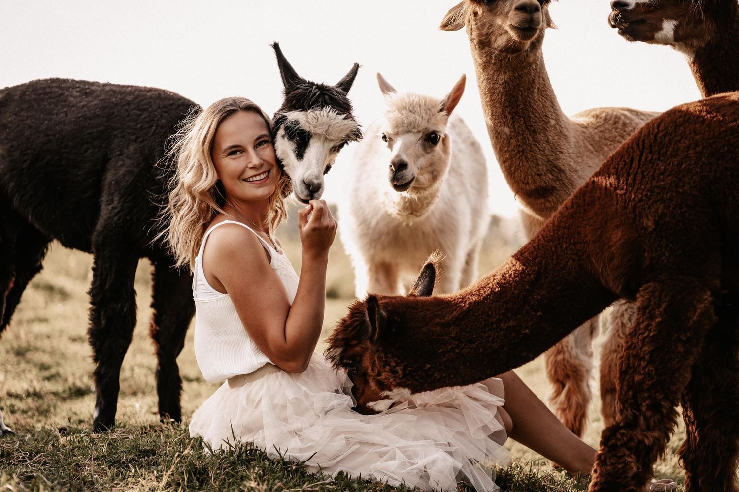 Woman in white dress sitting among alpacas and llamas on green grass, smiling outdoors. Europaweit