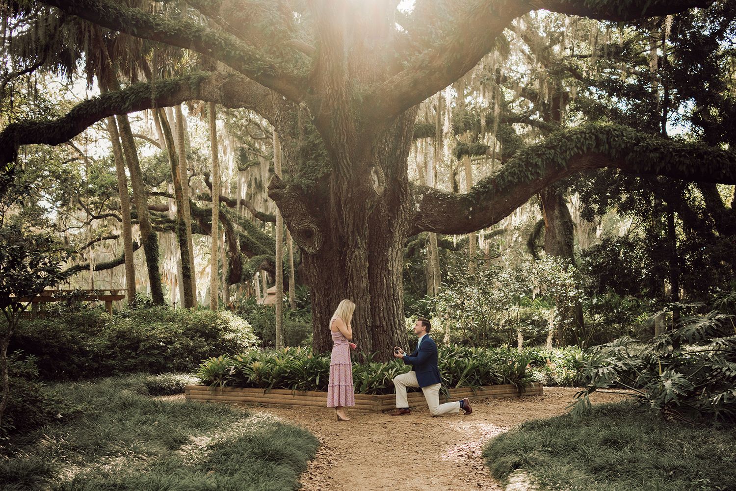 A dreamy wedding photography session takes place under moss-draped oak trees in a romantic garden setting.