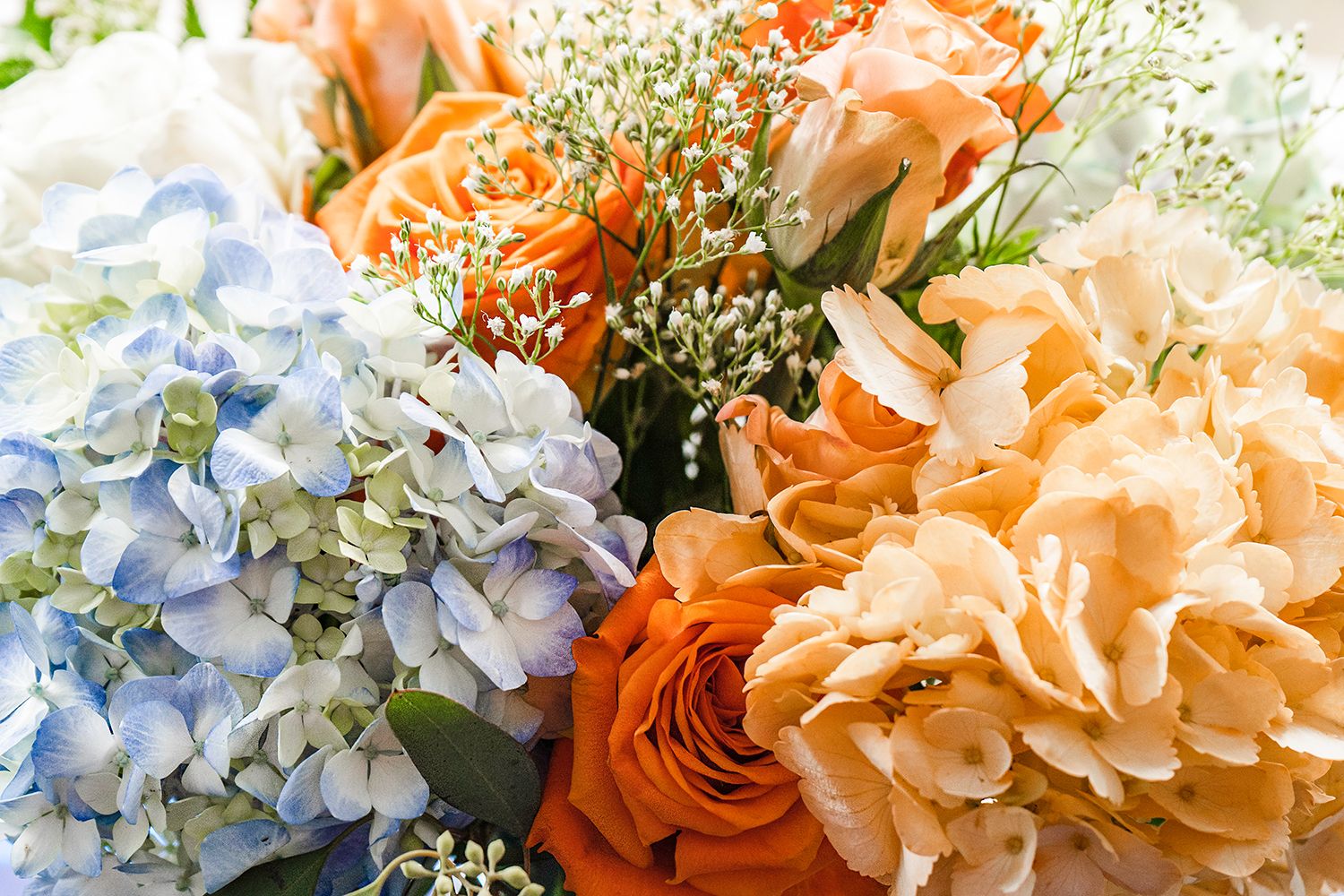 Elegant floral arrangement featuring peach roses, orange carnations and light blue hydrangeas in a decorative display.
