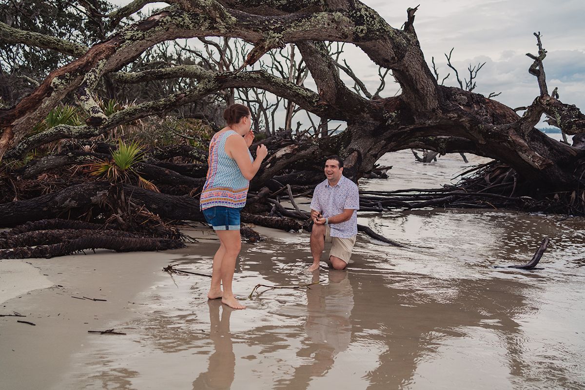 Man proposes on knees to woman on sandy beach near dramatic driftwood trees at Driftwood Beach, Jekyll Island.