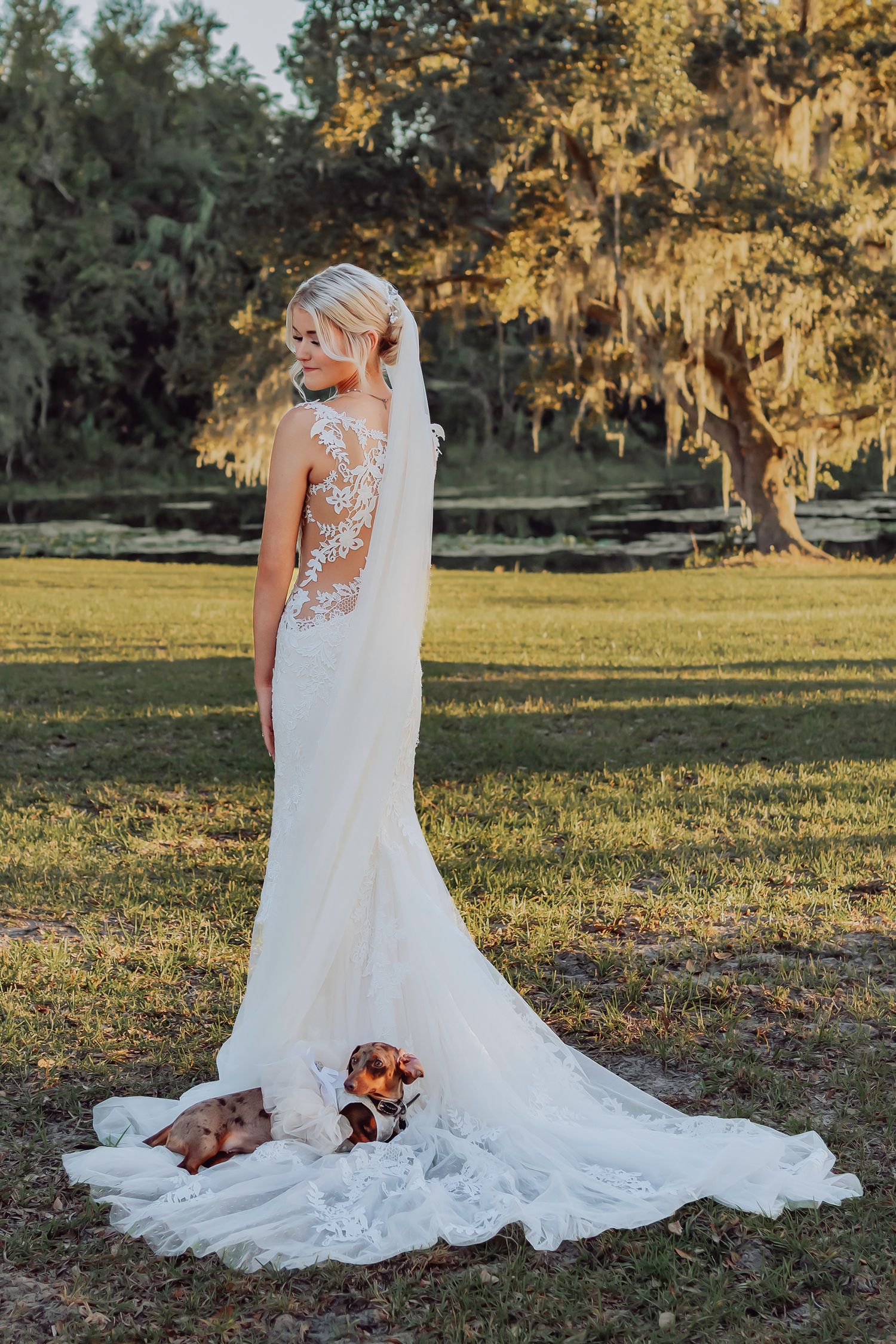 A wedding dress train spreads elegantly across green grass at sunset with Spanish moss hanging from trees in the background.
