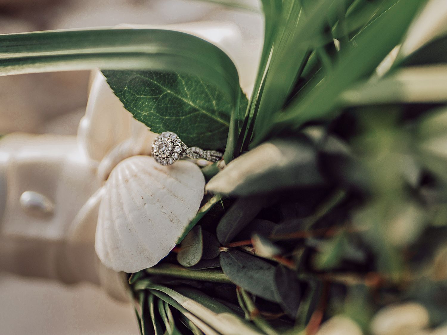 A close-up macro photograph of white orchid petals with green leaves in soft natural lighting.