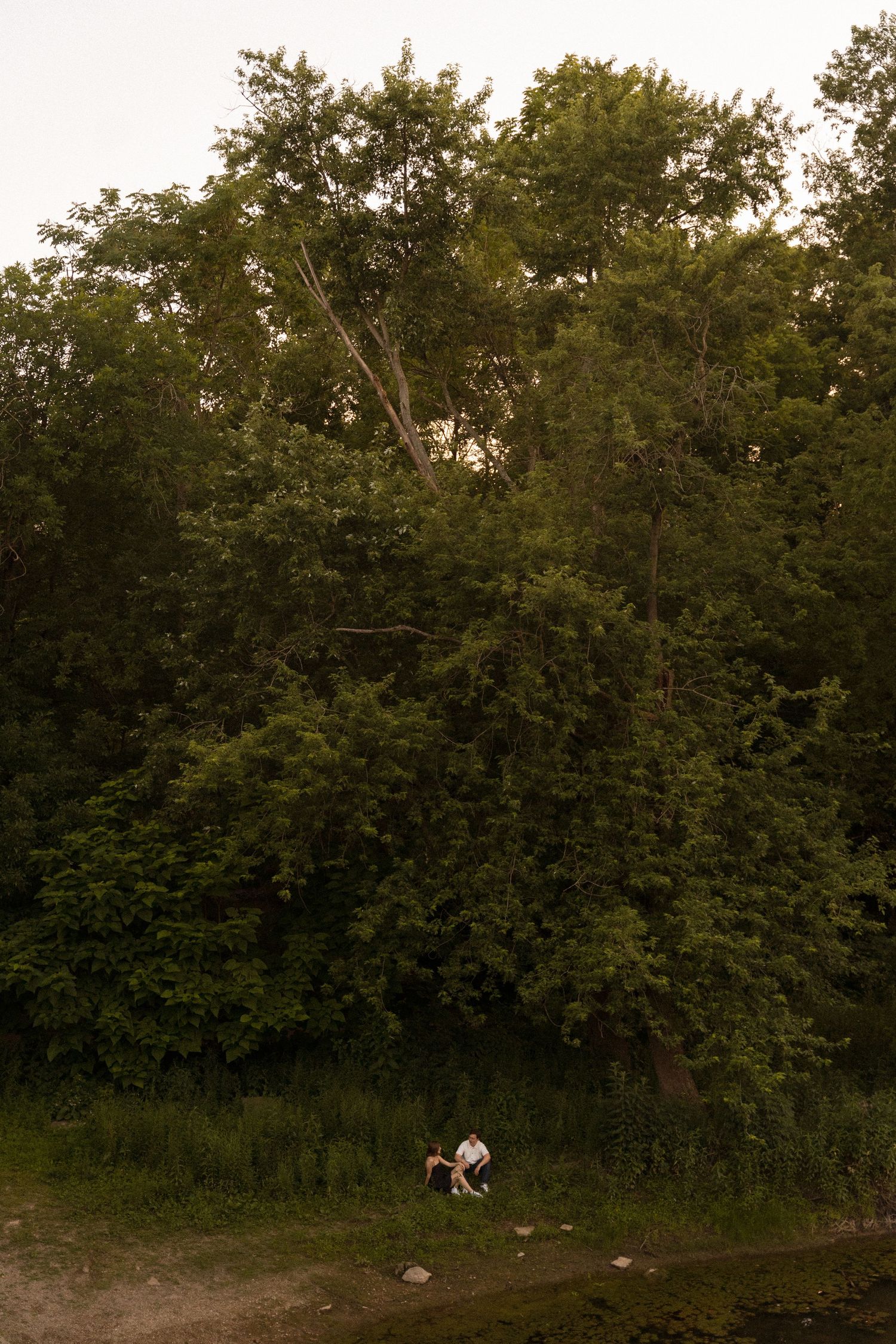 Two figures stand beneath tall trees at dusk in a serene natural setting.