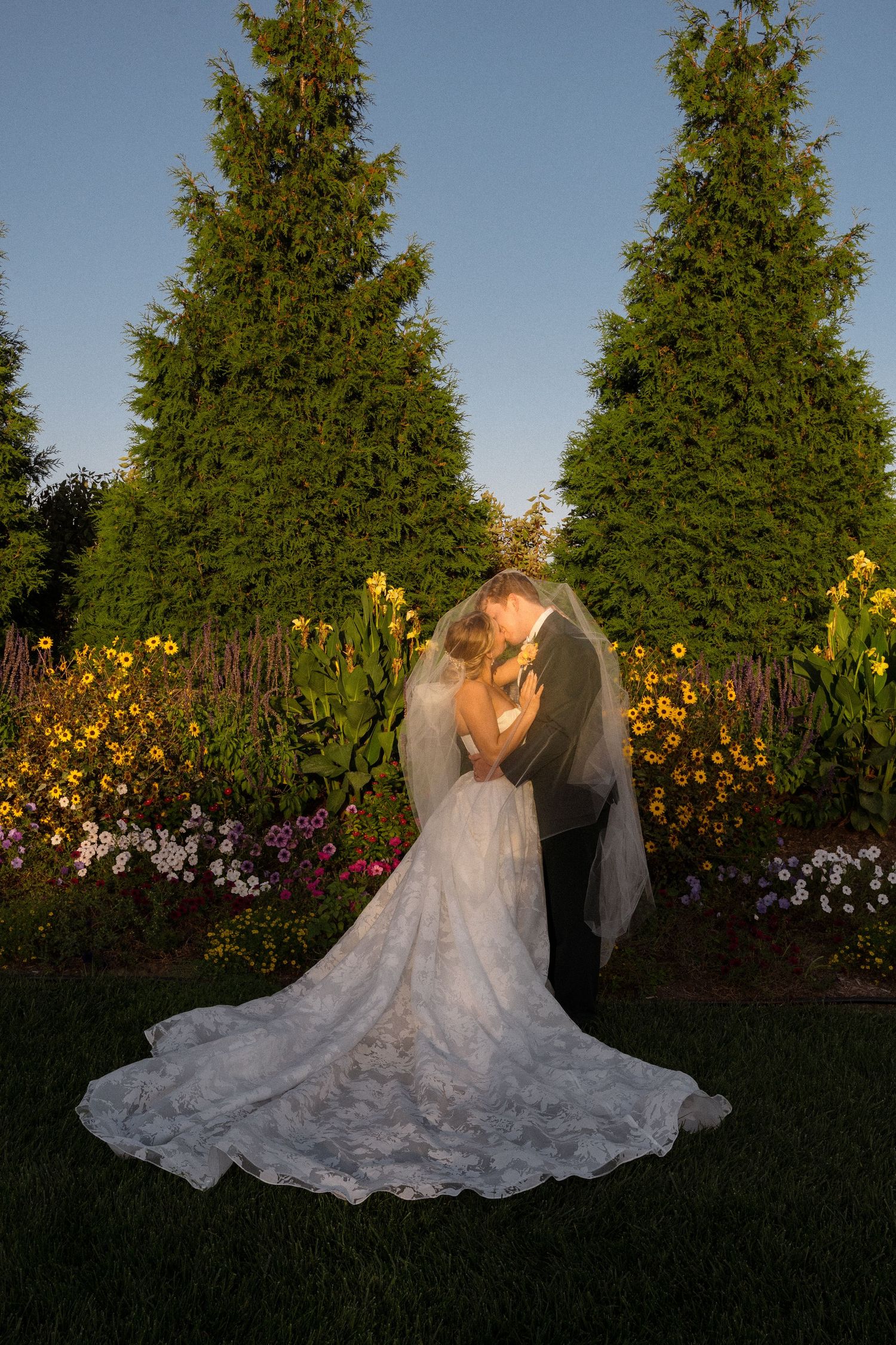 Elegant wedding couple poses in garden at sunset with flowing white dress against evergreen trees.