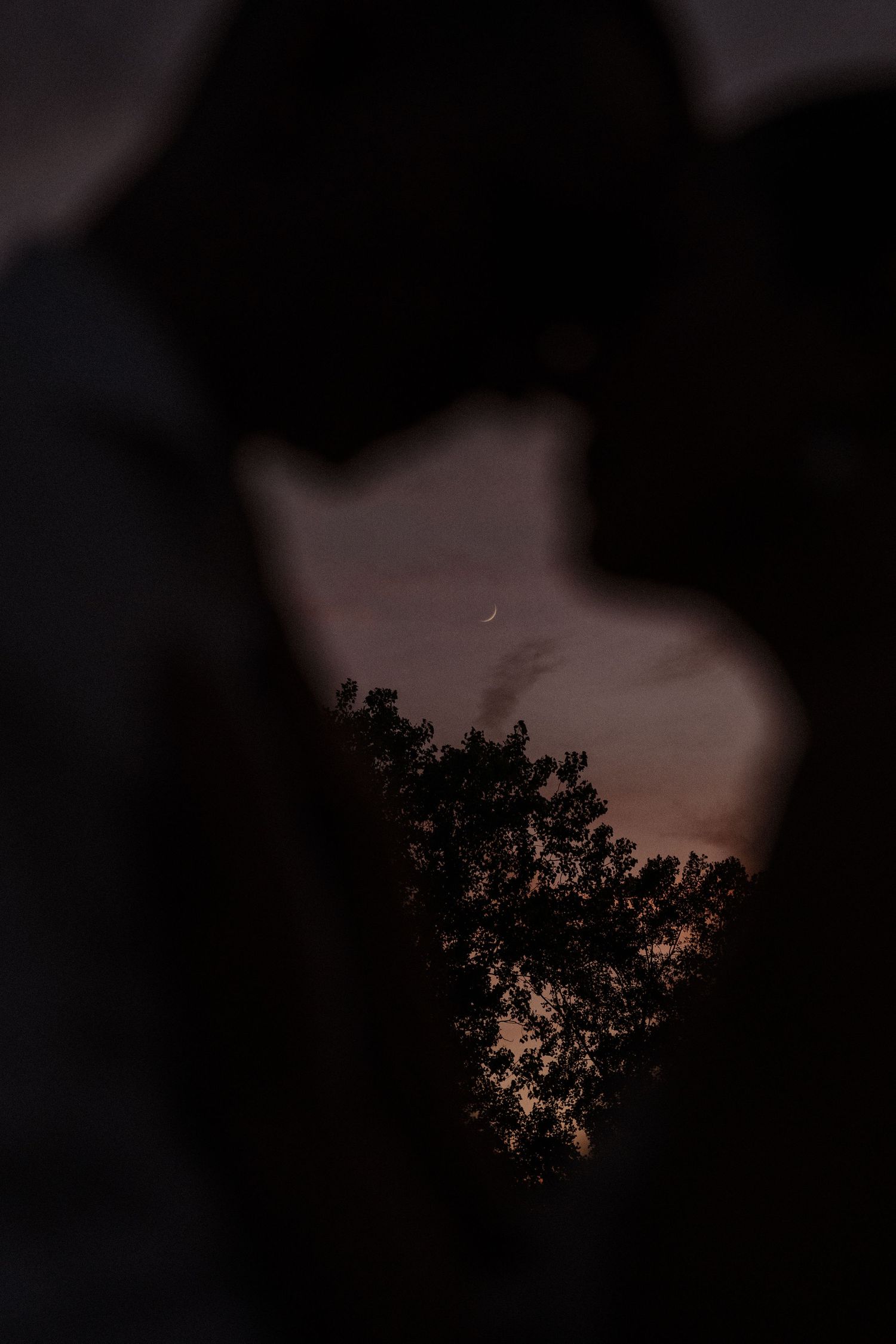 Silhouettes of trees against a dramatic dark sky at sunset.