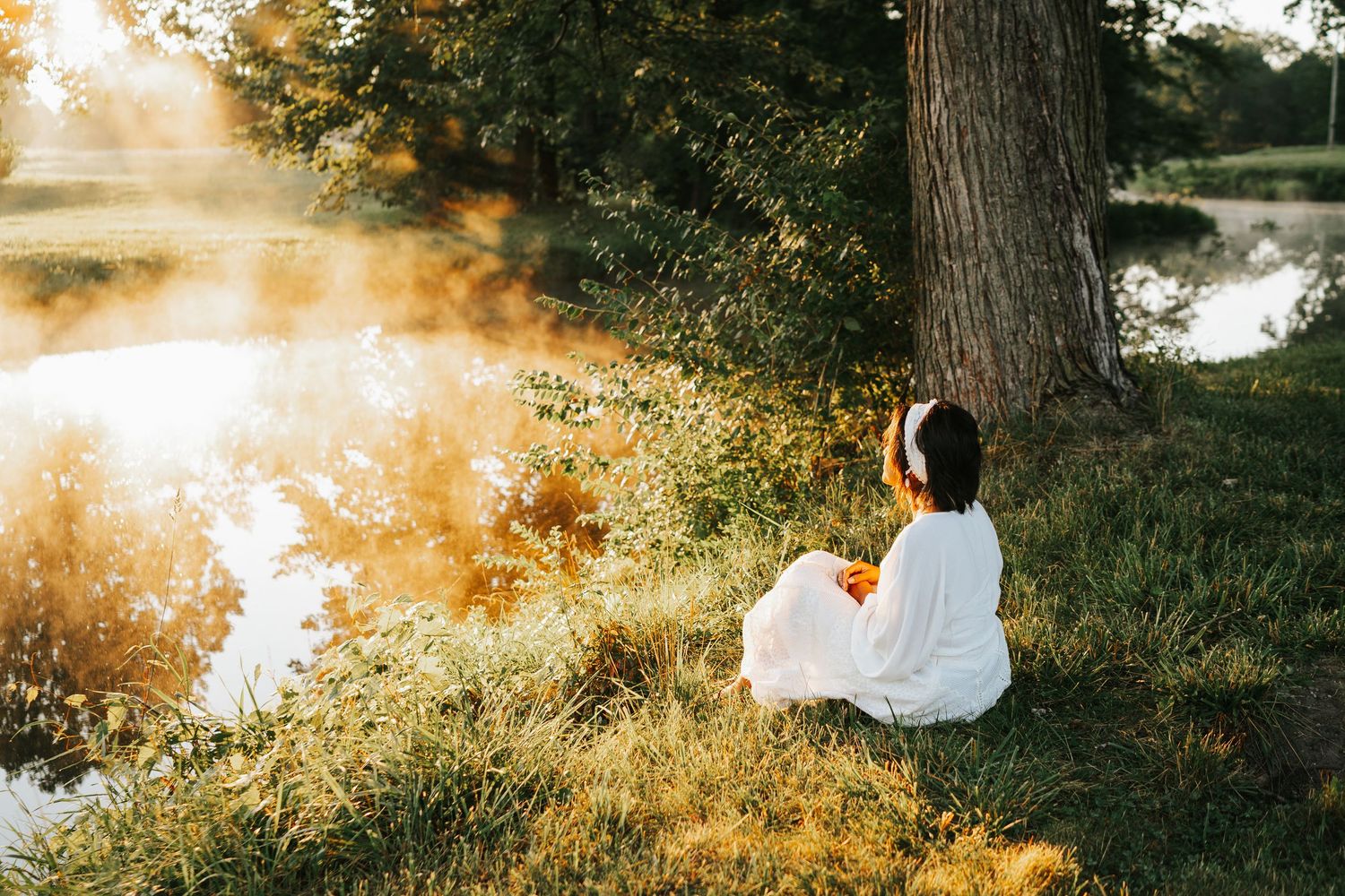 Golden hour sunlight filters through trees creating a magical outdoor setting.
