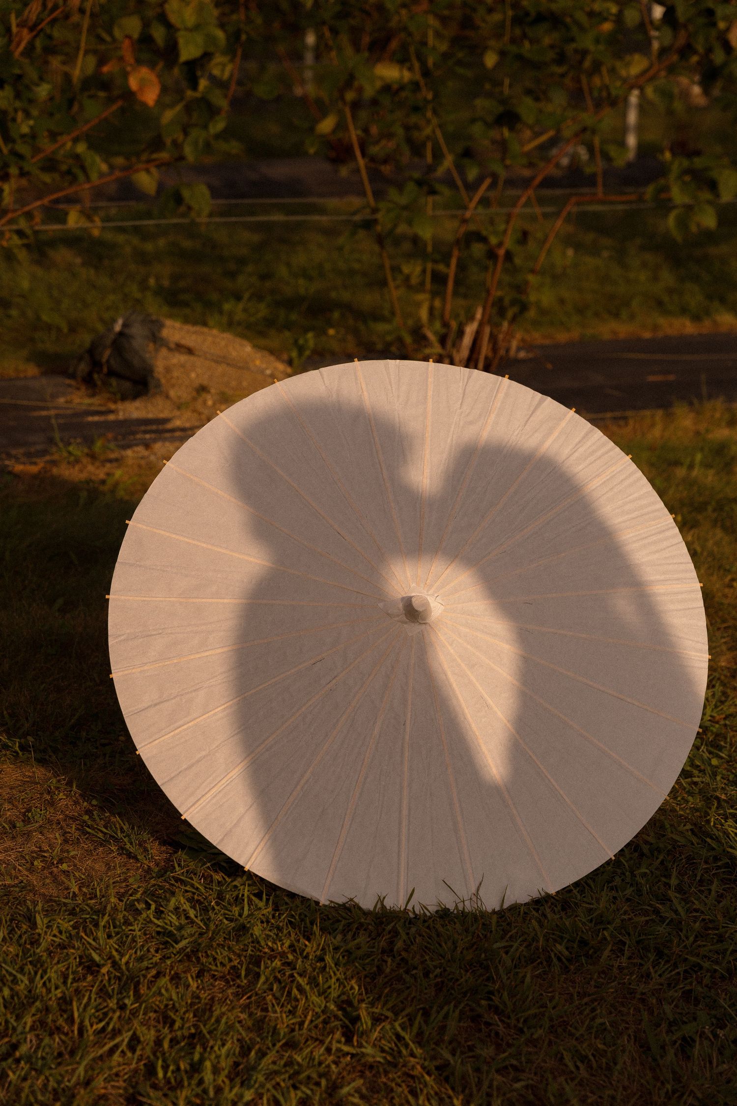 White circular fabric creates a dramatic sunlit pattern on grass during golden hour.