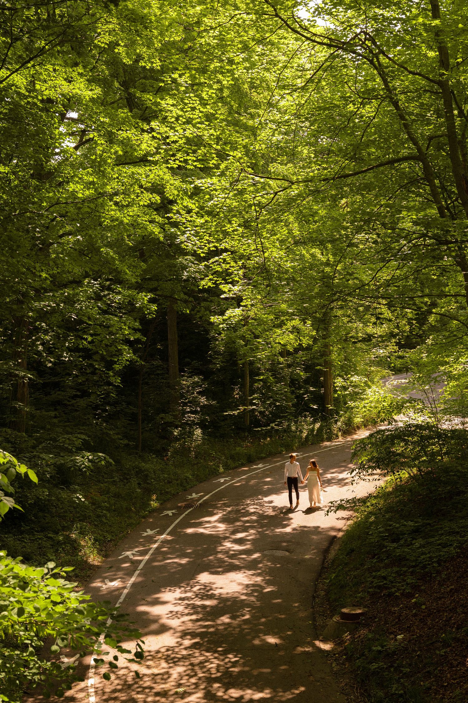 A sunlit forest path with dappled light filtering through green summer foliage.