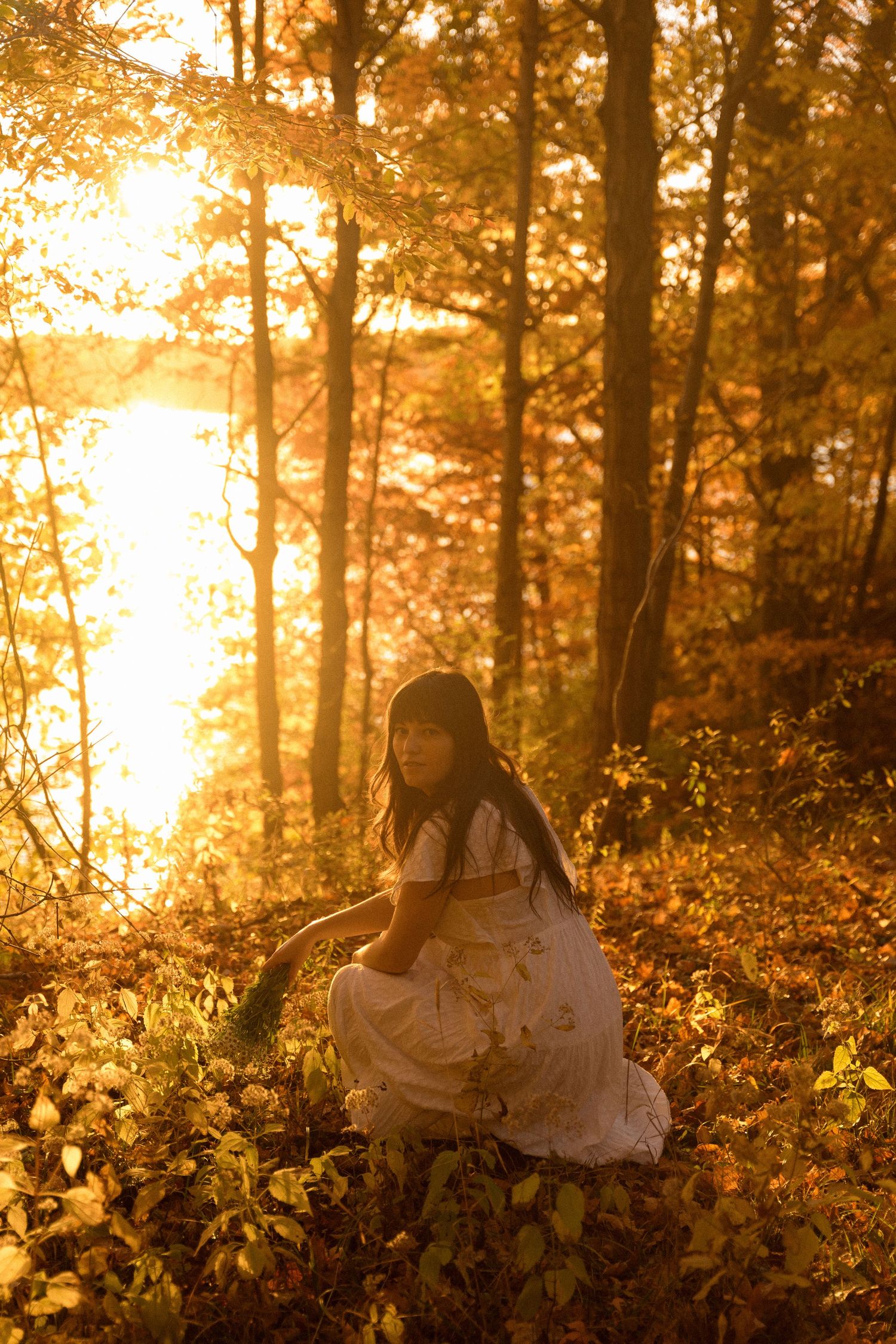 Dreamy golden sunset through autumn forest trees creates ethereal lighting for an outdoor portrait session.