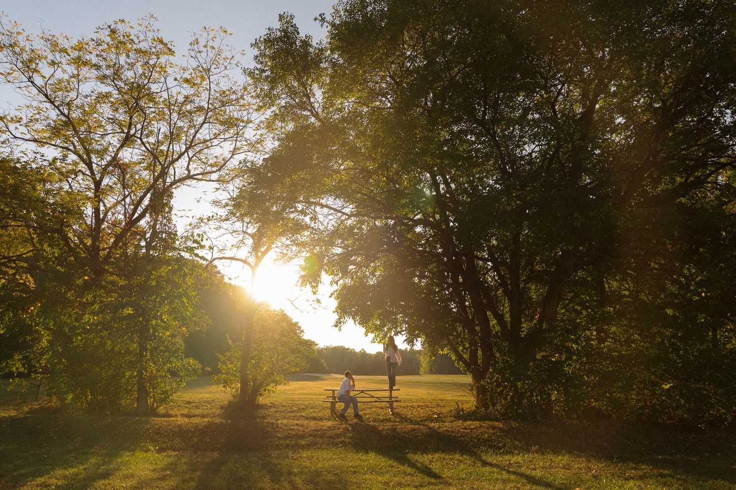 Silhouettes of people walking through a sun-drenched park at golden hour.