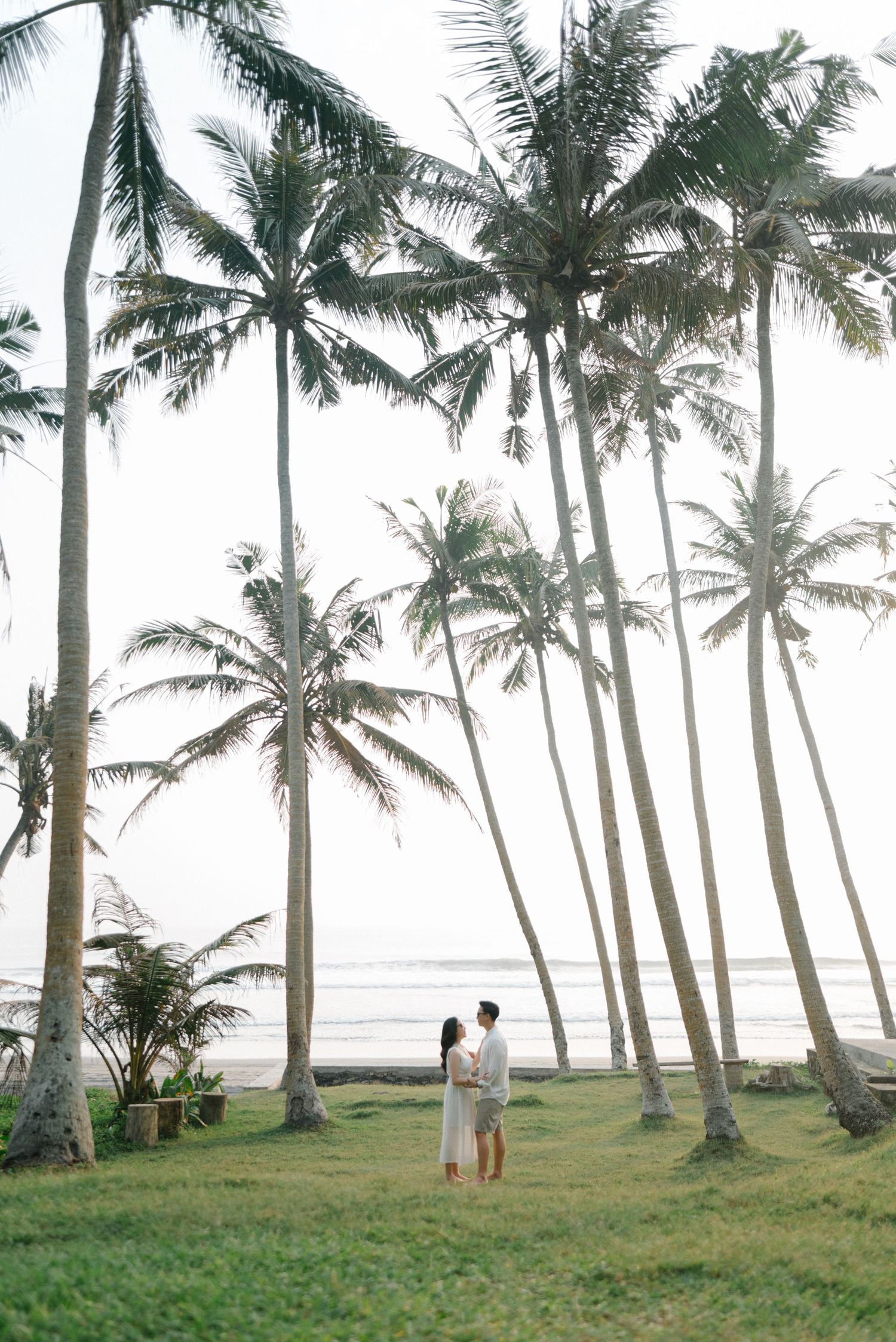 Couple standing among tall palm trees on a tropical beach with ocean views and lush green grass.