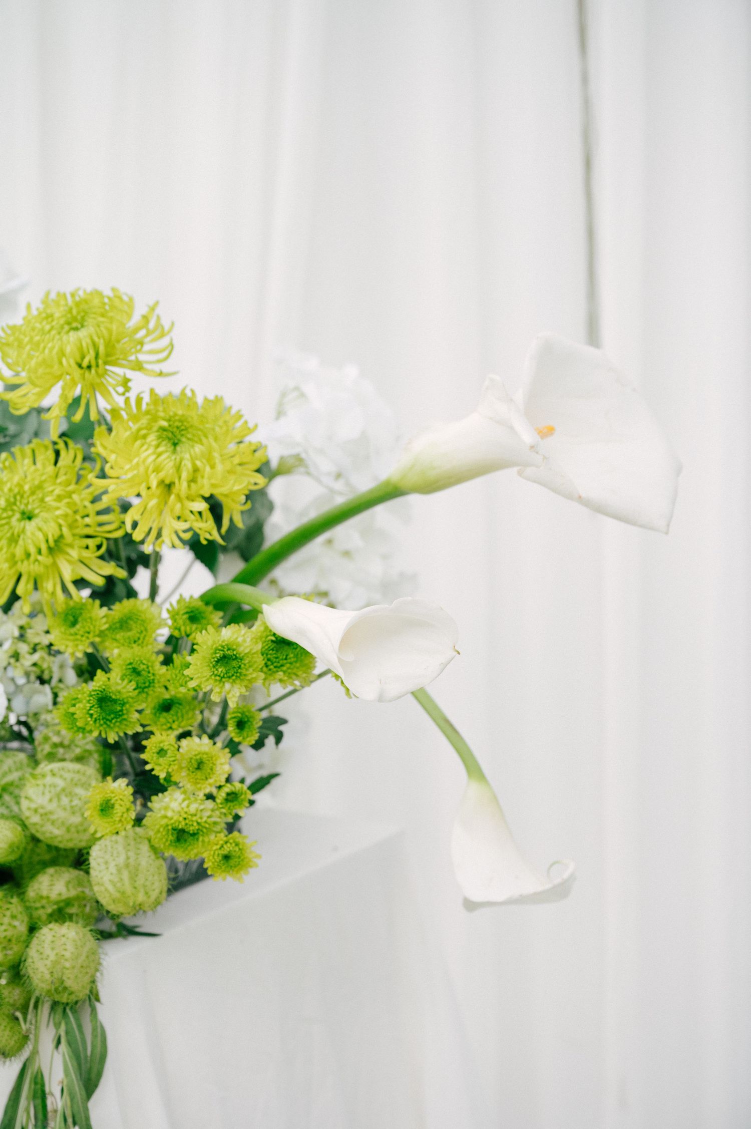 Elegant floral arrangement featuring white calla lilies and green chrysanthemums against a soft white draped background.