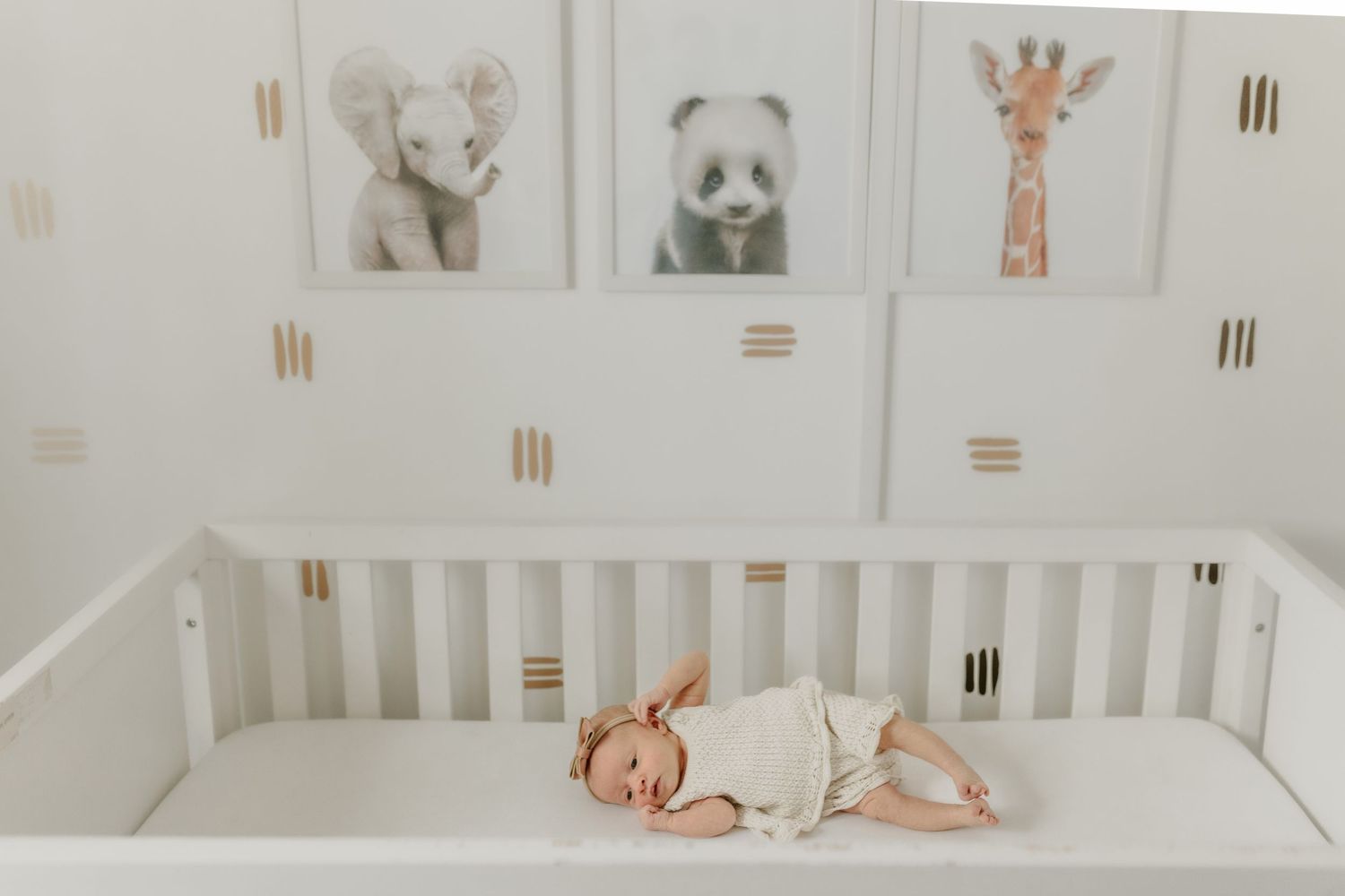 Calgary Newborn photographer