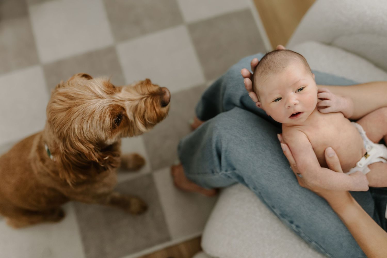 Calgary Newborn photographer