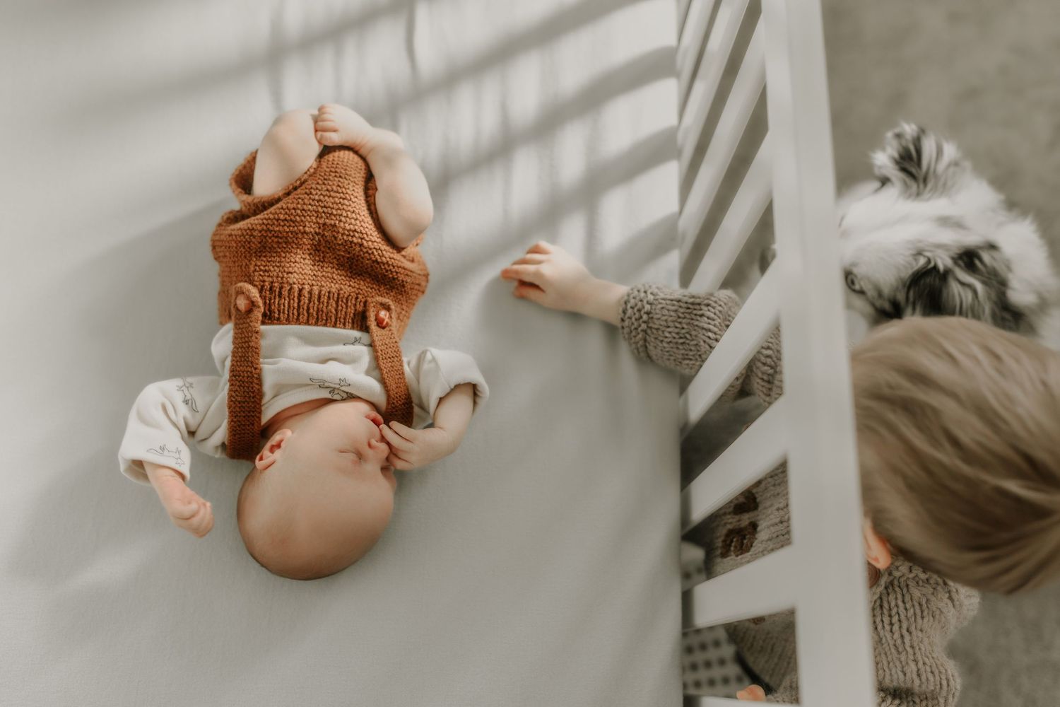 Calgary Newborn Photographer