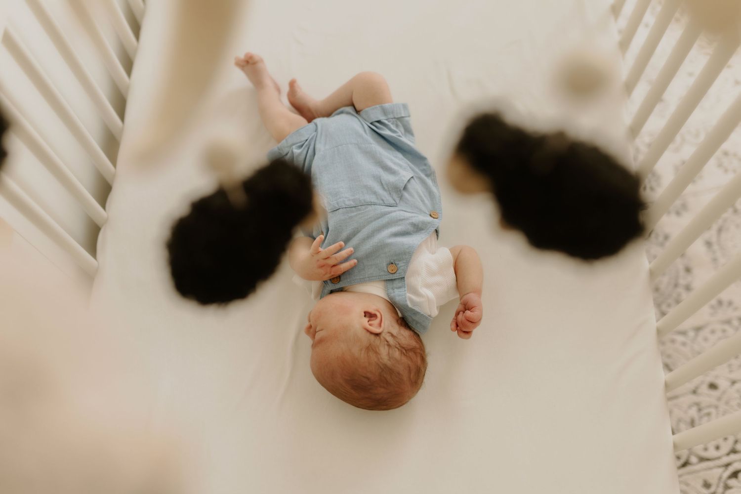 Calgary Newborn photographer