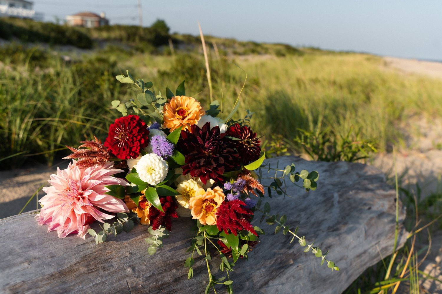 Colorful dahlia bouquet with red, pink, and yellow flowers resting on weathered wood at a sandy beach.