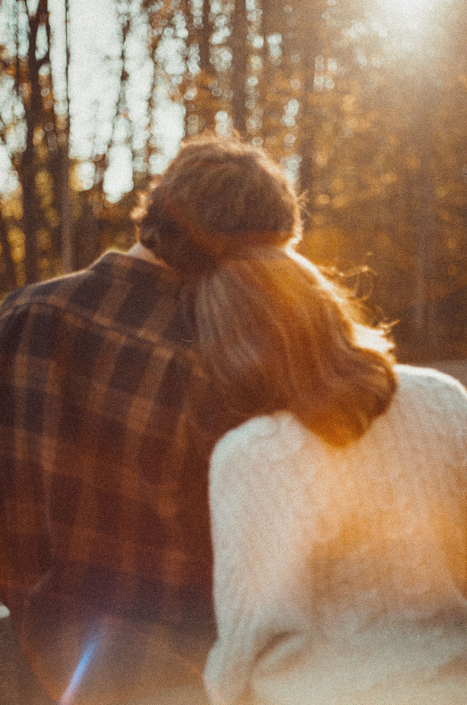 Person with long hair illuminated by warm sunset light in an autumn forest setting.