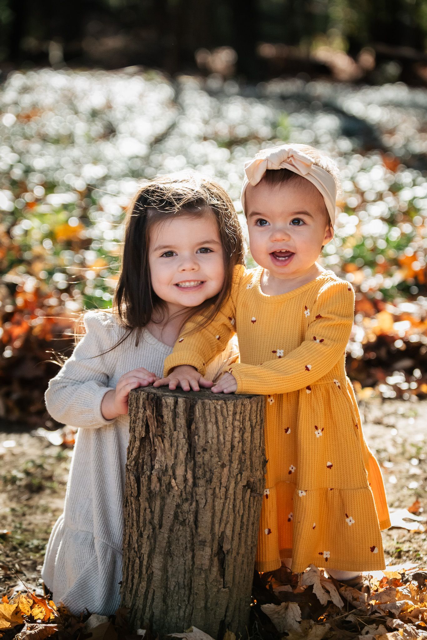 Two young children in dresses pose together by a tree stump in autumn.