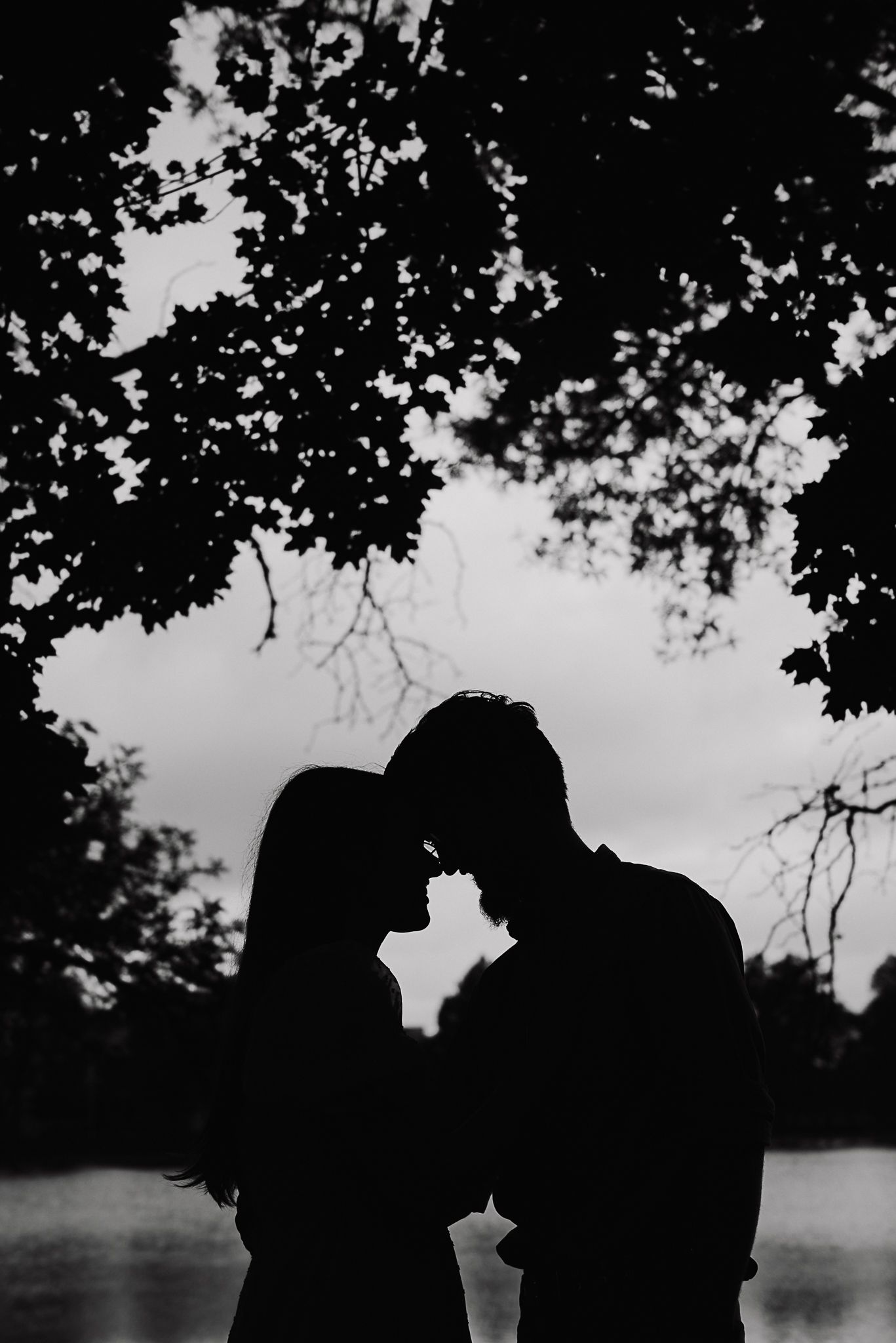 Romantic black and white silhouette series showing a couple in an intimate moment under tree branches by a lake.