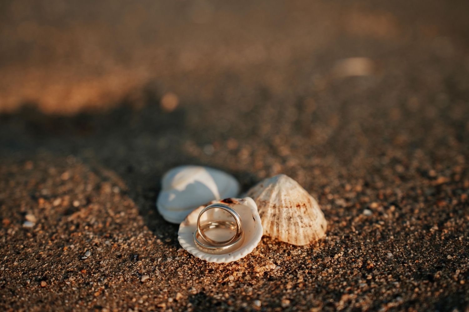 photo des alliances sur la plage - Liograph Studio Créatif