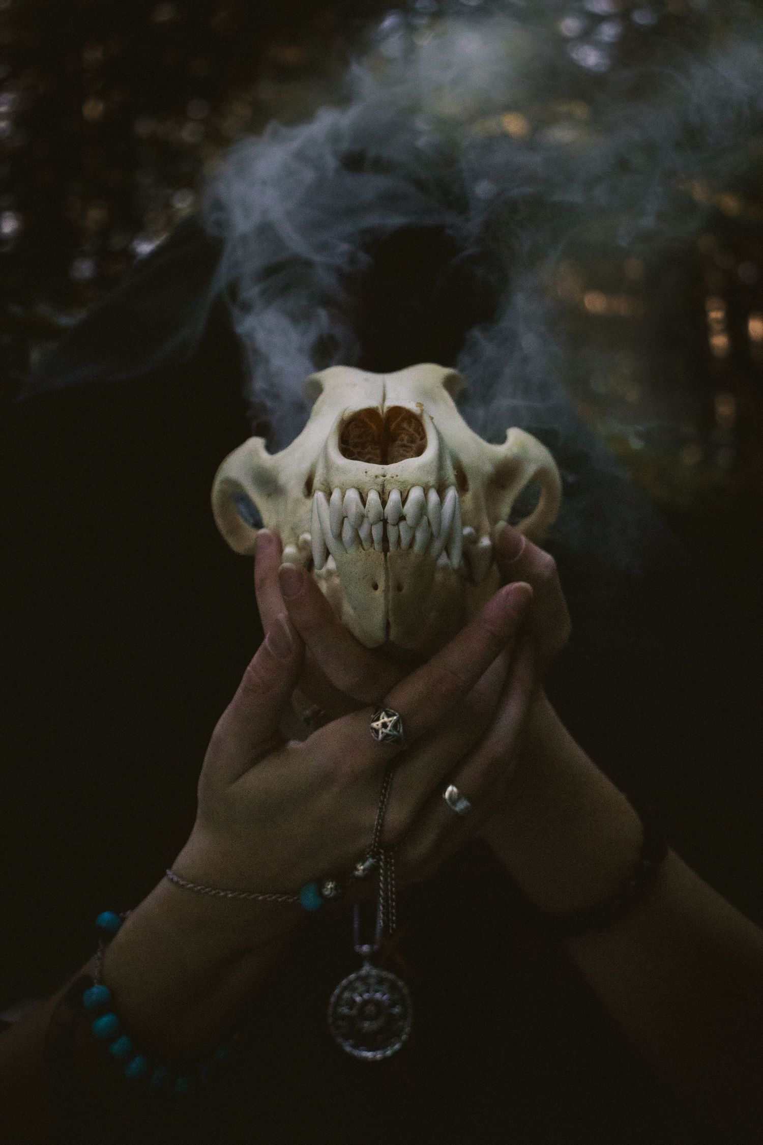 Hands holding an animal skull with smoke rising from it in a dark, mystical setting.