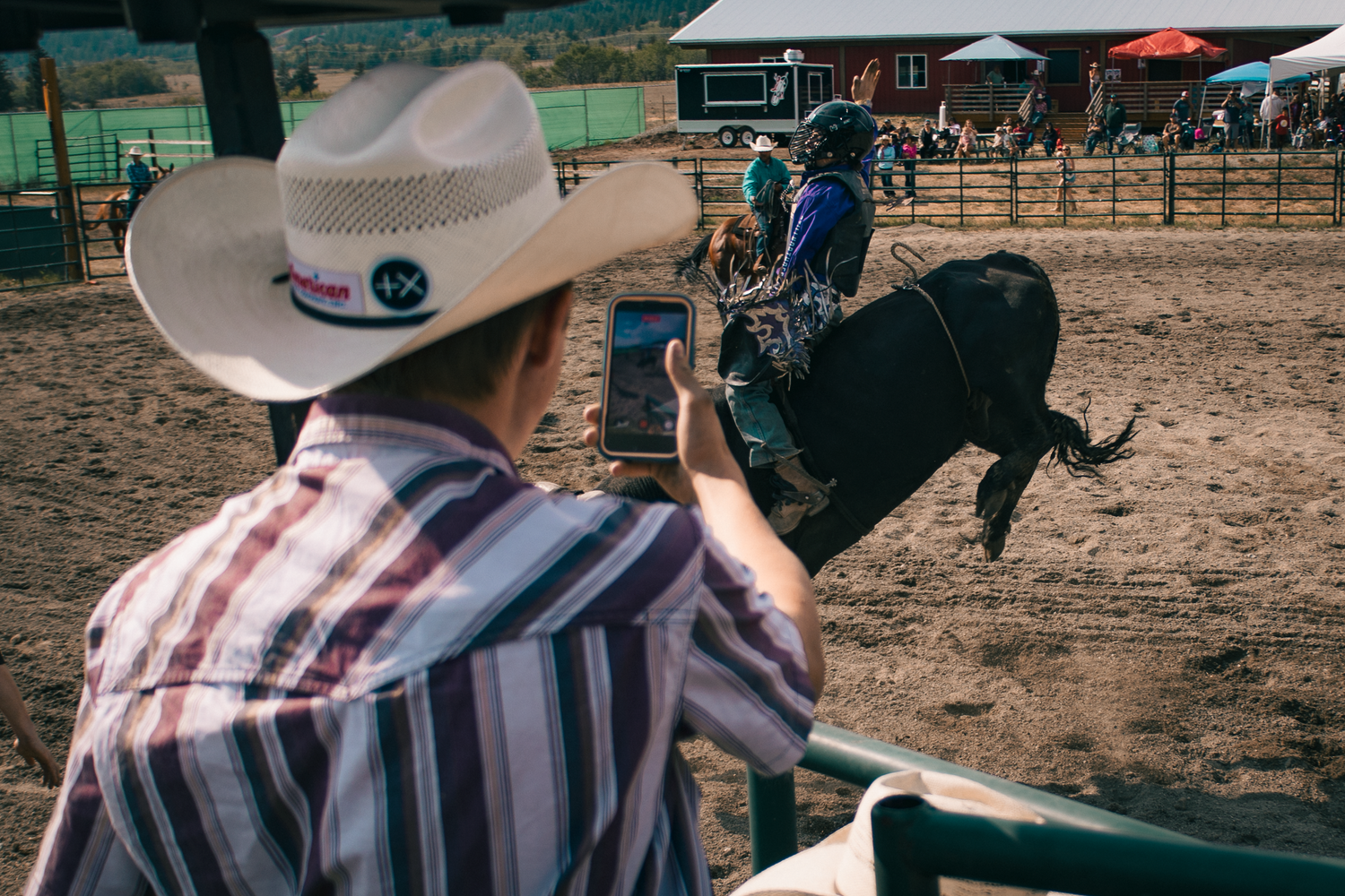 Cowboy in white hat photographs bull rider on black bull at outdoor rodeo arena with fence and crowd.