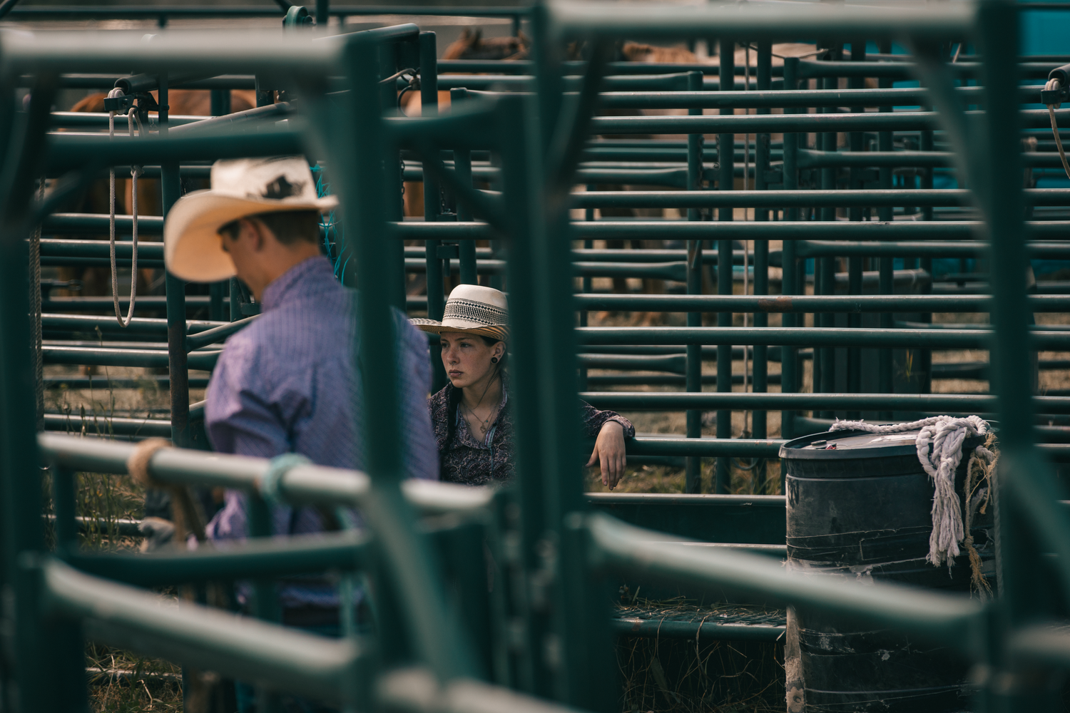 Two cowboys in cowboy hats converse behind metal rodeo chutes in a rustic western setting.