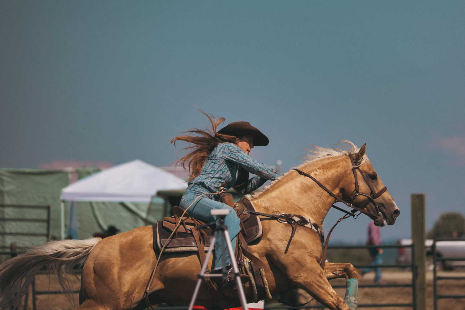 Female barrel racer on palomino horse jumping obstacle at outdoor rodeo event.