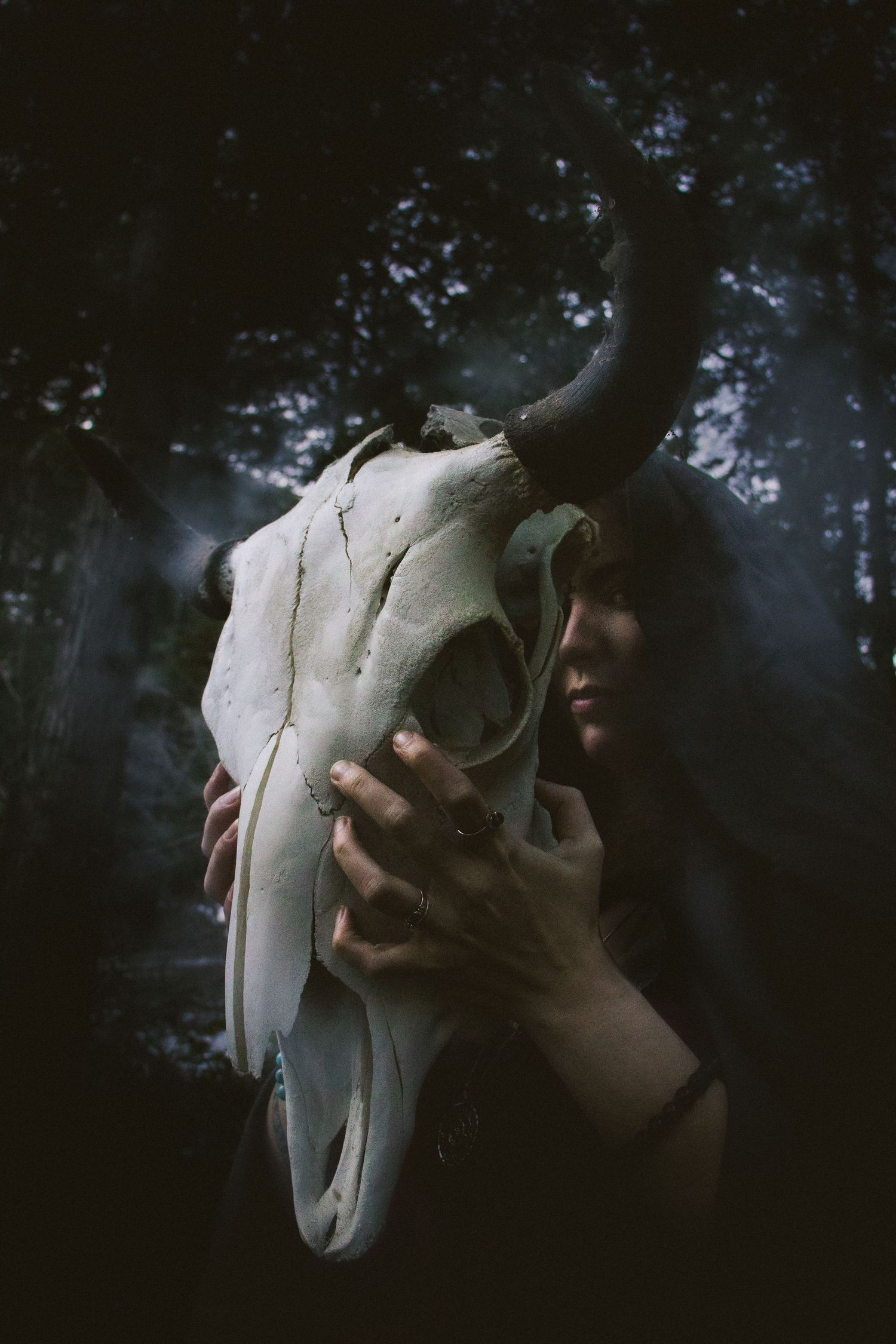 Person holding an animal skull with horns in a dark, moody forest setting.