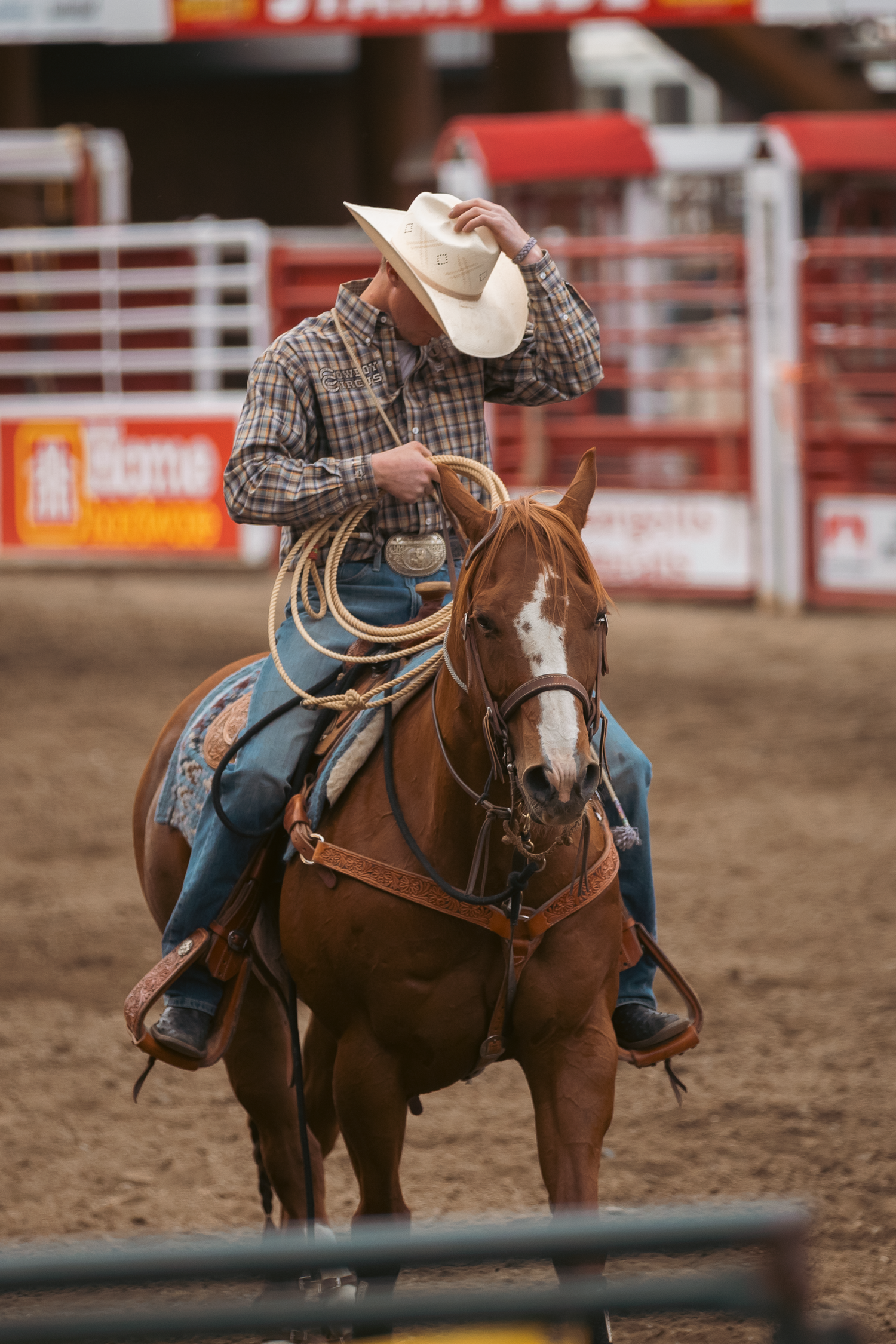 Cowboy on a brown and white horse tips his white hat while holding a lasso rope in a rodeo arena.