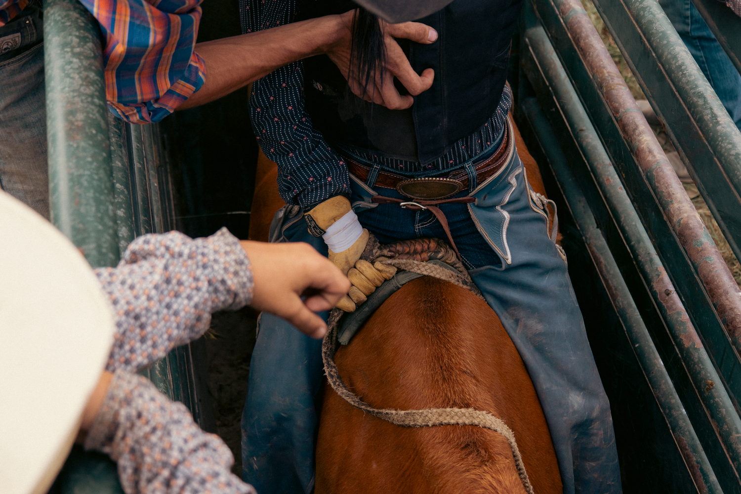 Close-up of a rodeo rider secured on a horse in a chute, with helpers adjusting the rope before the ride.