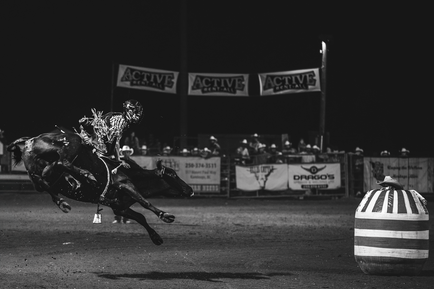 Black and white photo of bull rider competing near striped barrel at night rodeo.