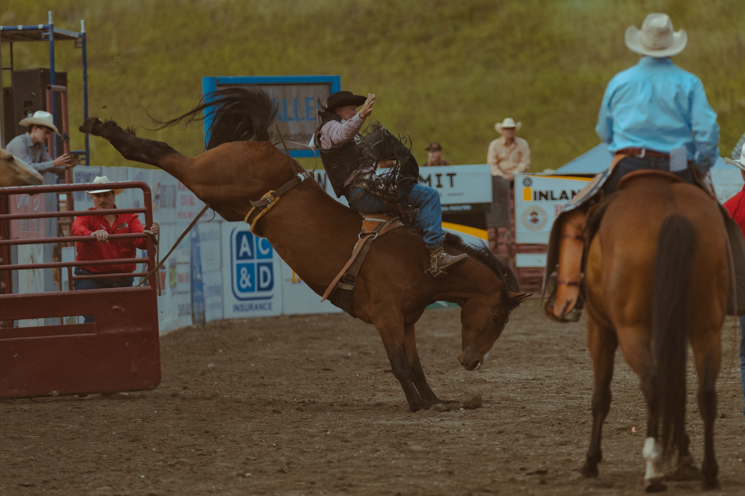 Cowboy grips a bucking horse near the chutes as a pickup rider on horseback watches at a rodeo.