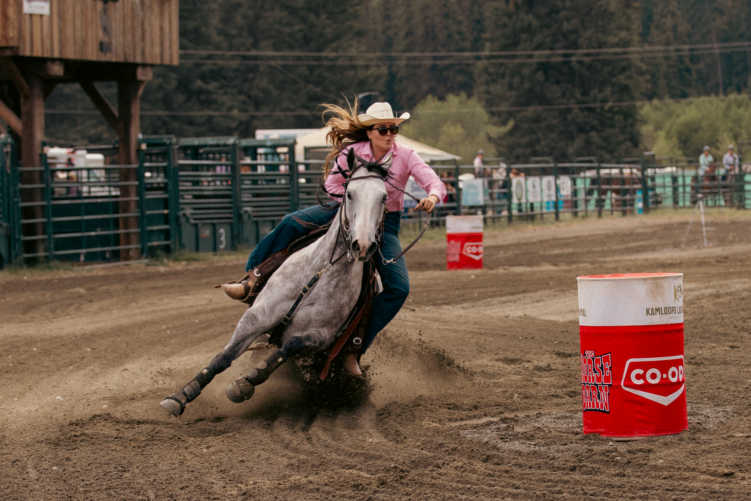 Cowgirl on gray horse rounding a red barrel during a competitive barrel racing event at an outdoor rodeo.