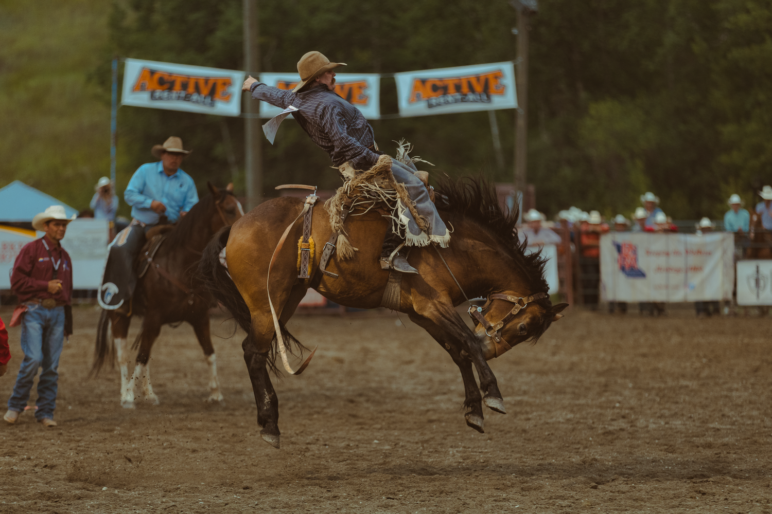 Cowboy rides a bucking bronco horse during a saddle bronc riding event at an outdoor rodeo competition.