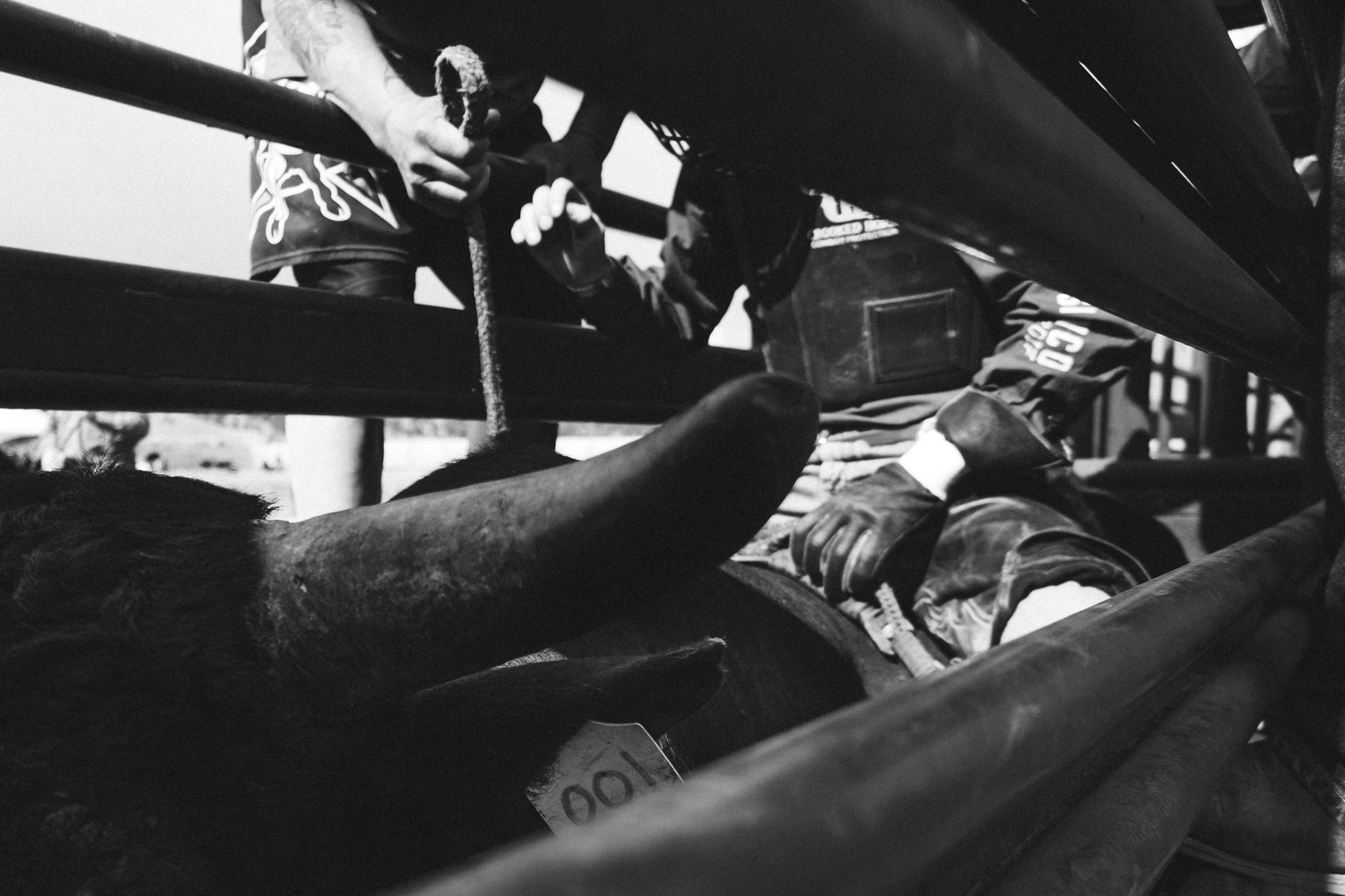 Black and white photo of a bull rider preparing in the chute at a rodeo event.