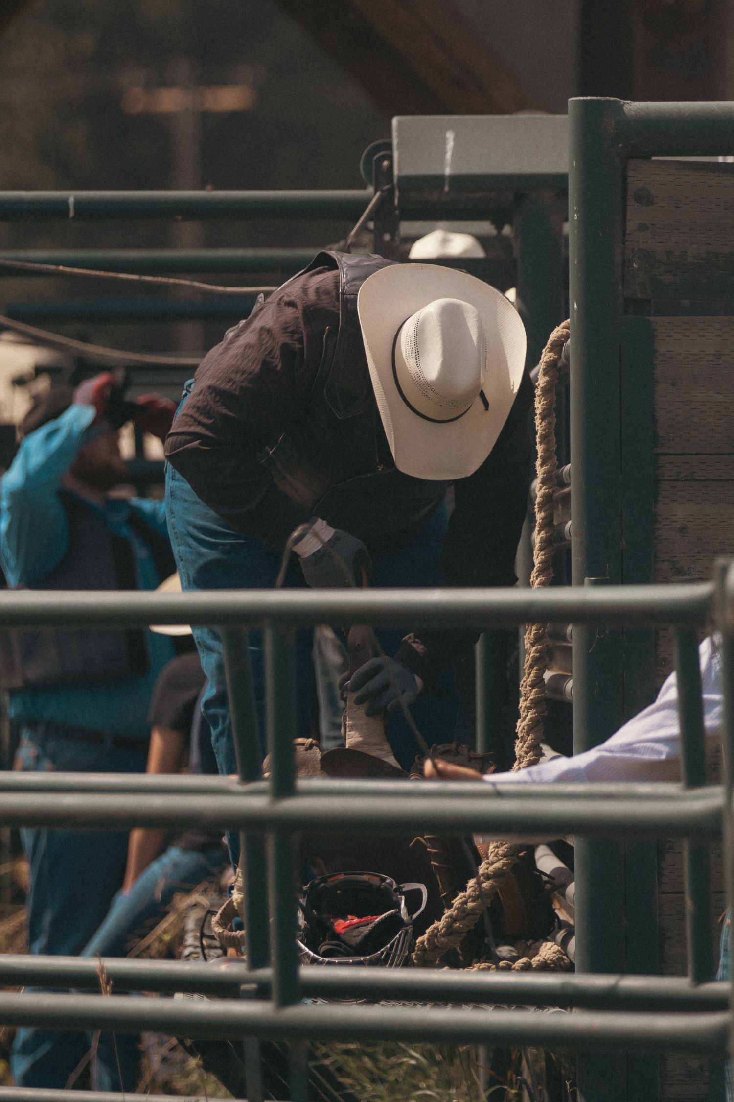 Cowboy in white hat preparing bull rope at rodeo chute gates.