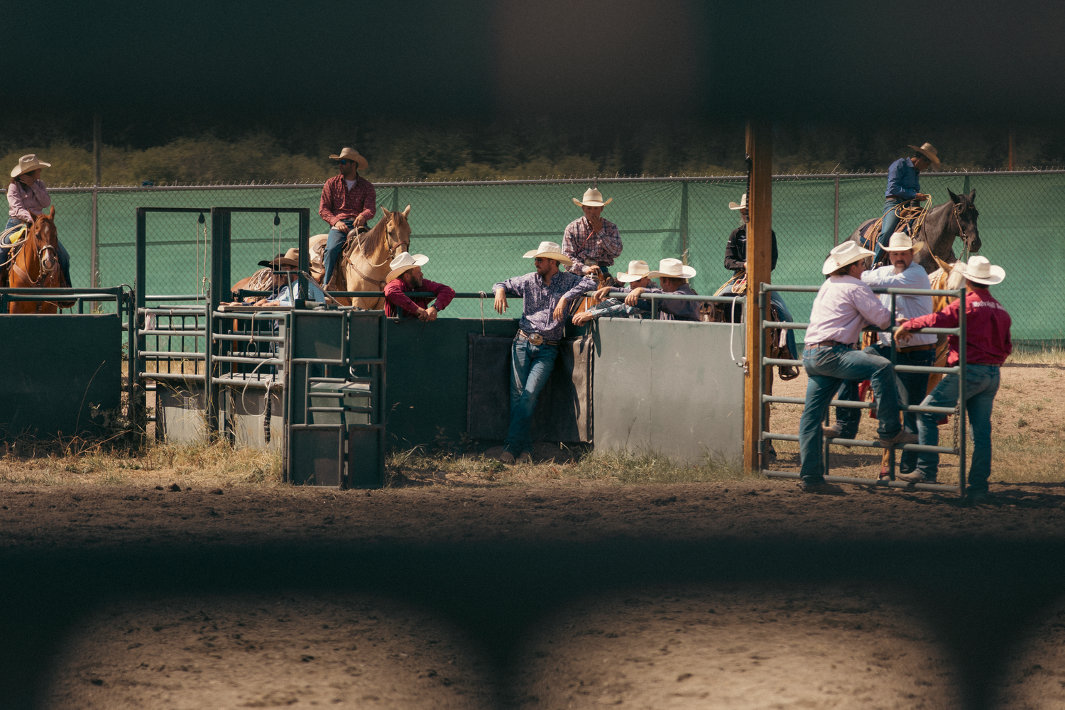 Cowboys in cowboy hats gather around rodeo chutes preparing for an event at a dusty outdoor arena.