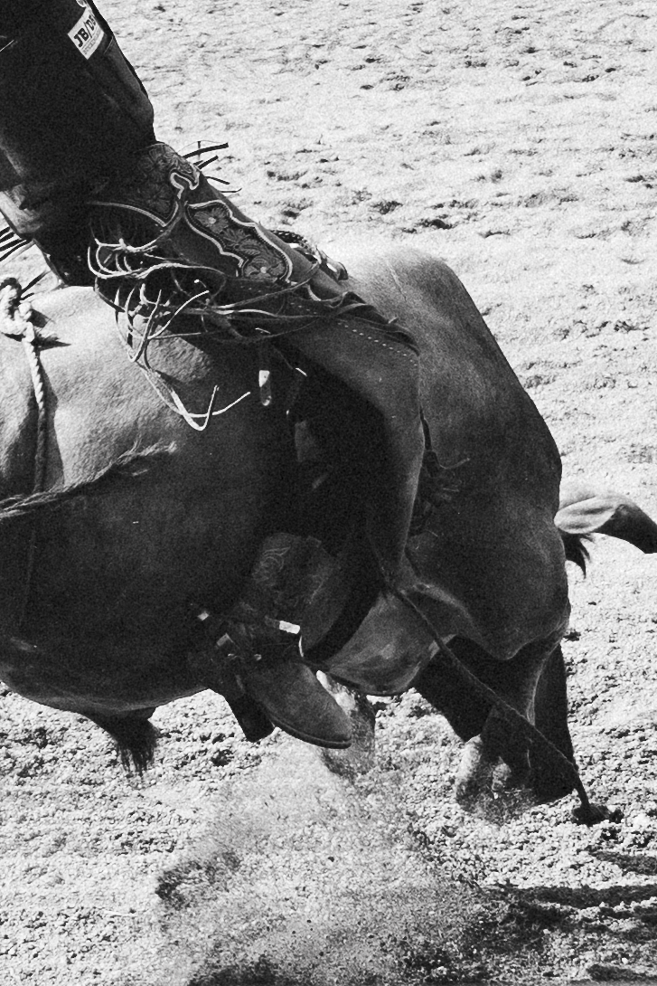 Black and white photo of a bull rider competing in a rodeo, with the bull bucking powerfully in the dirt arena.