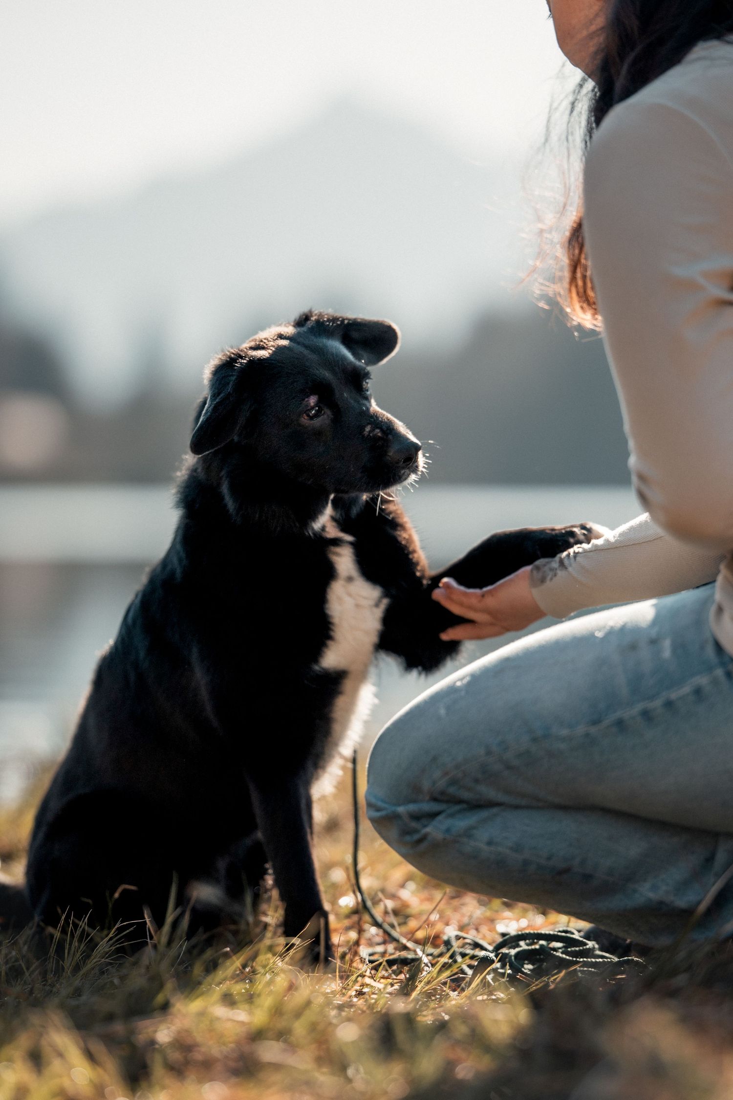 Tierschutzhund Adoption, See, Allgäu, Besitzerin