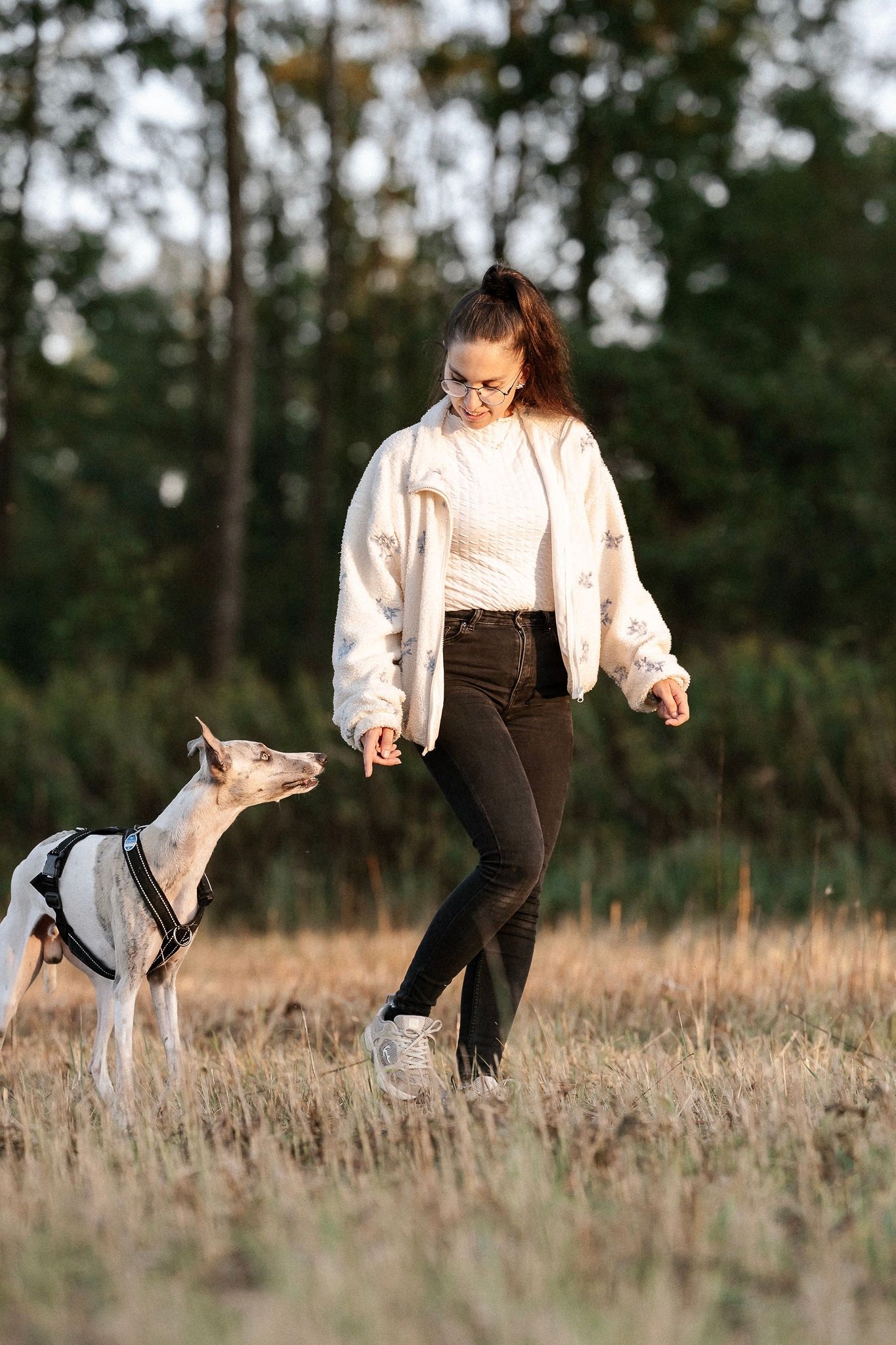Hundefotoshooting im Wald auf einer Wiese in Augsburg mit Frauchen Windhund