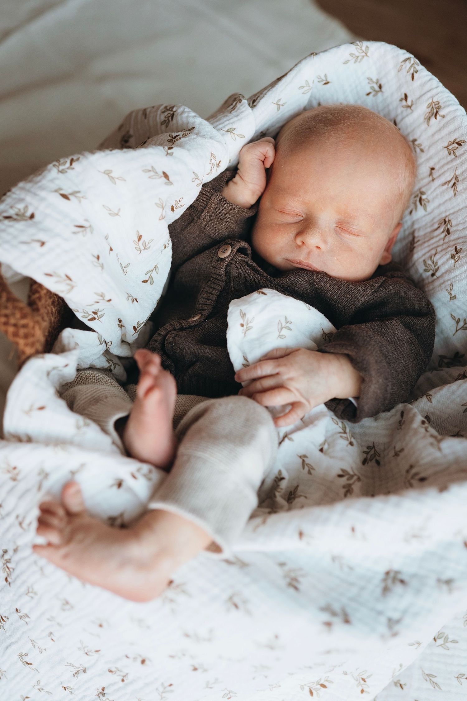 Newborn