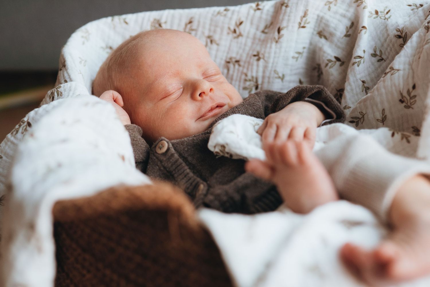 Newborn