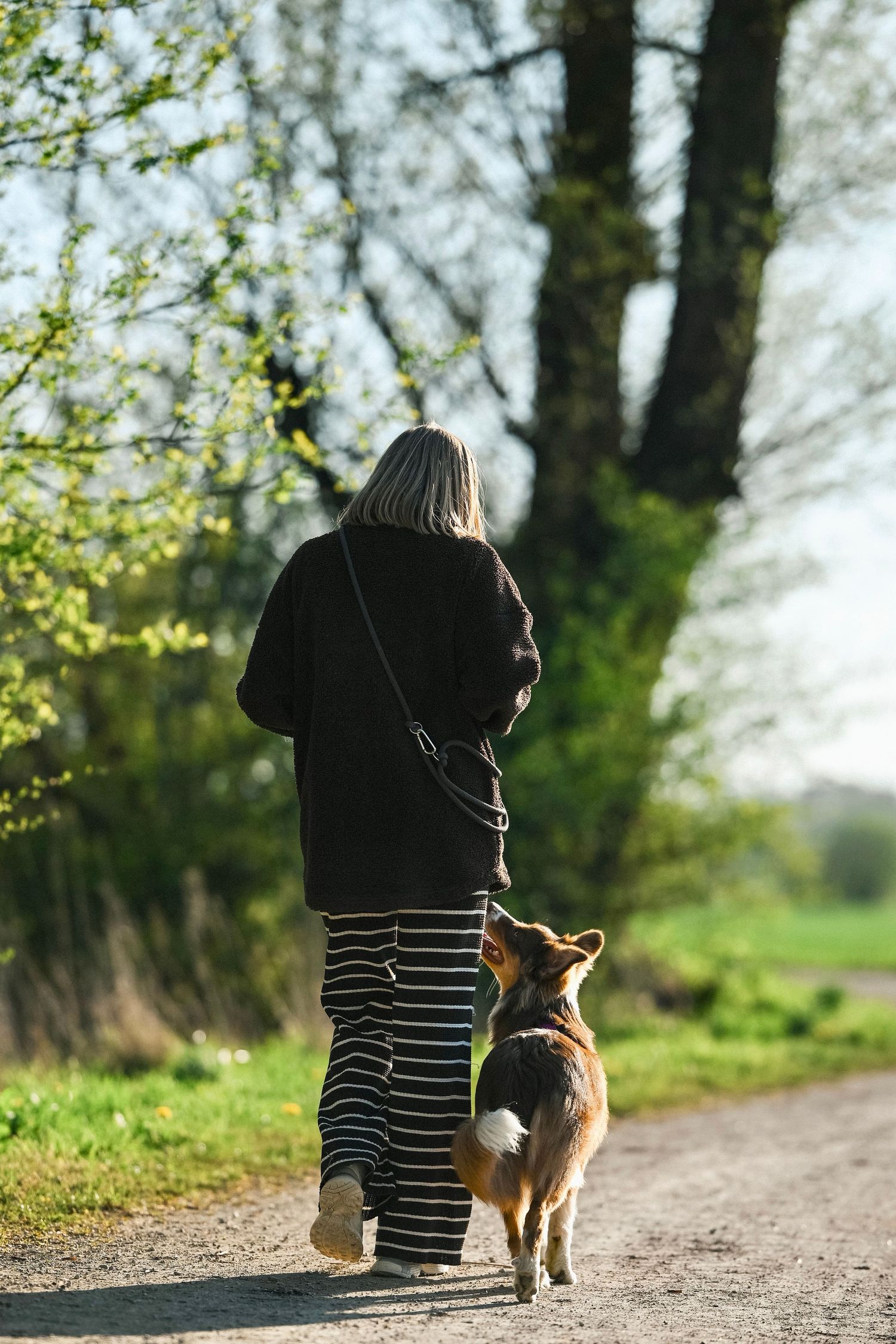 Spaziergang gassi Hund mensch