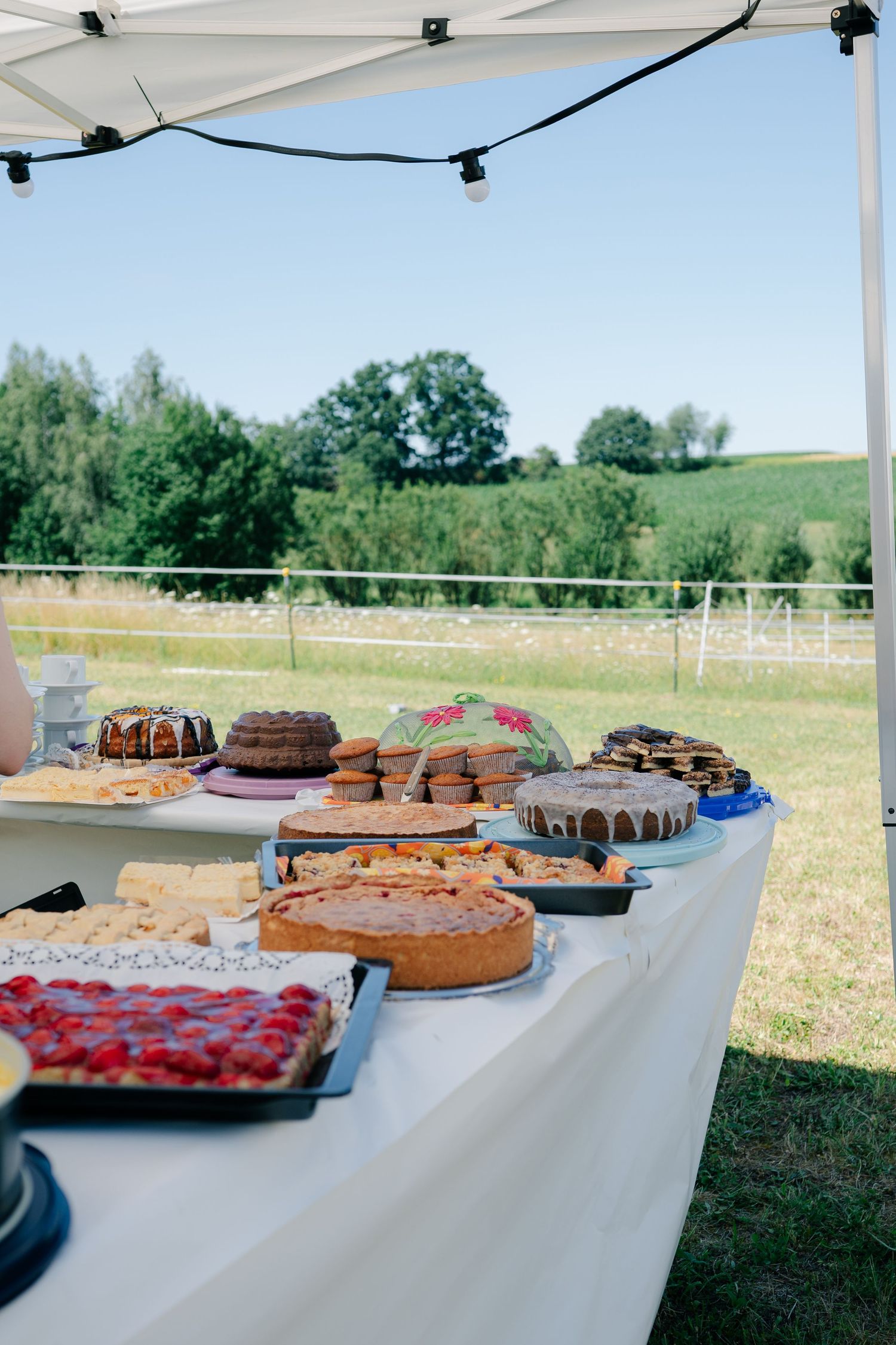 Kuchenbuffet